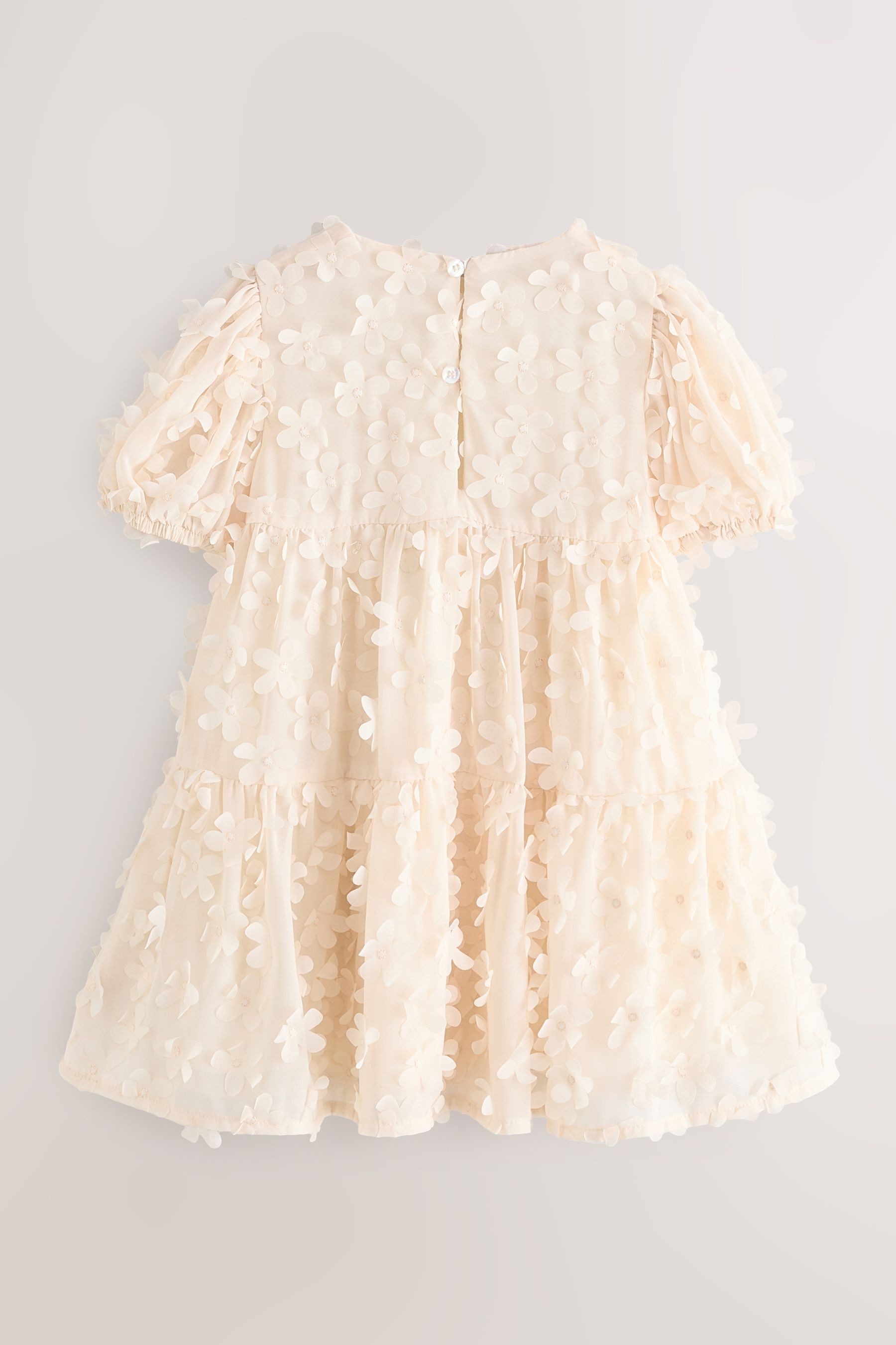 Next Tüllkleid Kurzärmeliges Kleid mit 3D-Blumendetails (1-tlg)