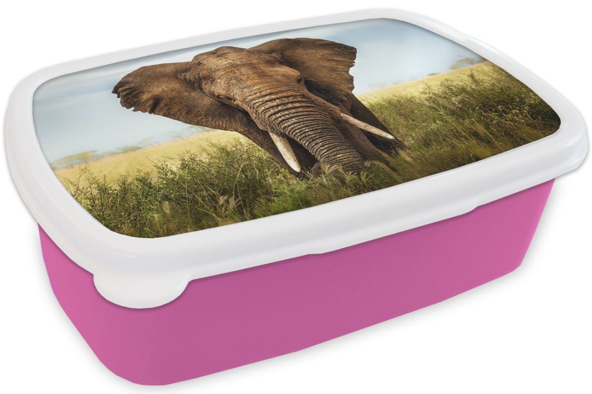 MuchoWow Lunchbox Elefant - rosa Snackbox, Gras Natur, Tiere (2-tlg), Erwachsene, Kinder, - Mädchen, Brotbox - für Kunststoff Kunststoff, Brotdose