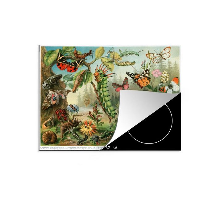 MuchoWow Herdblende-/Abdeckplatte Insekten - Illustration - Natur Vinyl (1 tlg) induktionskochfeld Schutz für die küche Ceranfeldabdeckung