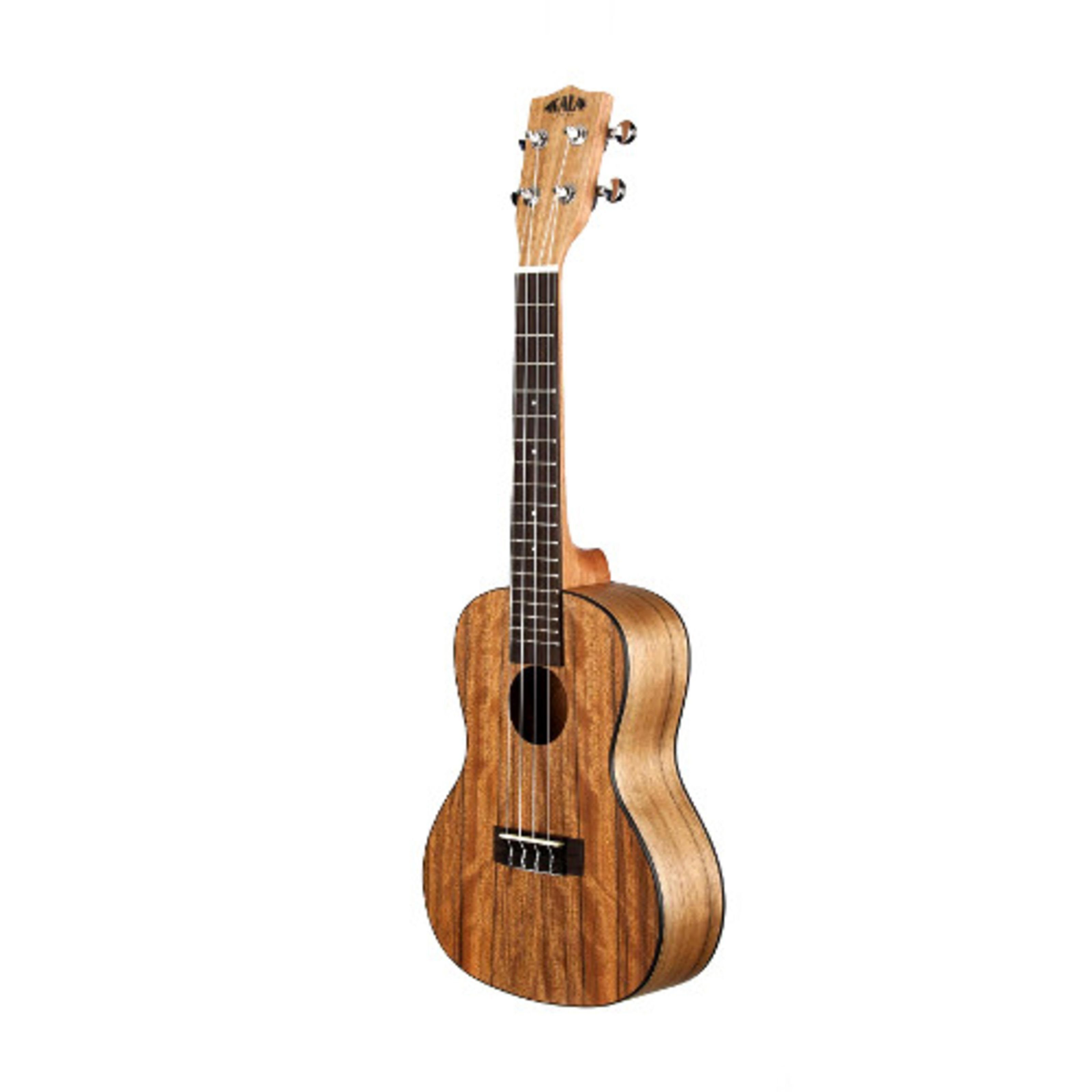 KALA Ukulele, Ukulelen, Konzert Ukulelen, KA-PWC Pacific Walnut - Konzert Ukulele