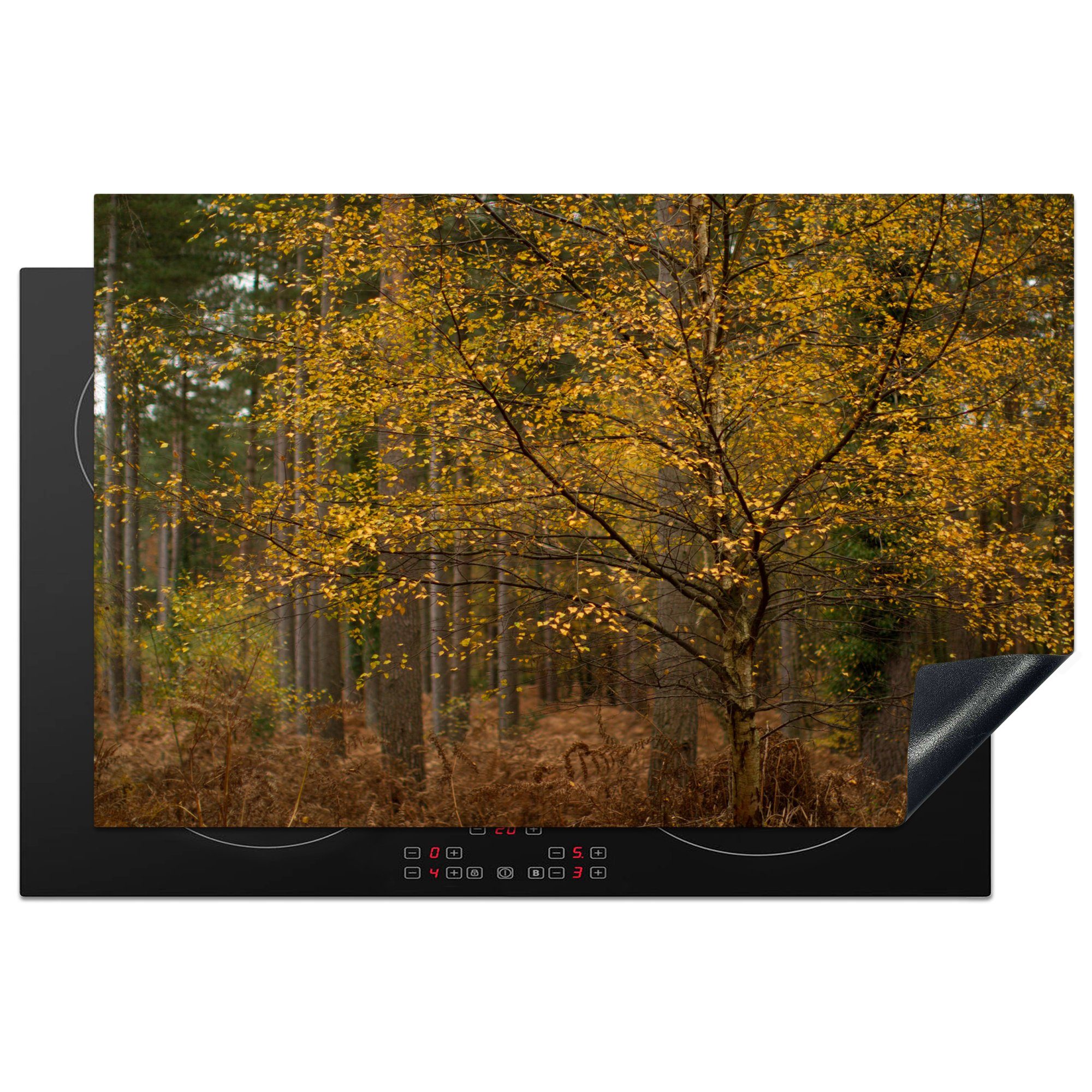 MuchoWow Herdblende-/Abdeckplatte Goldene Blätter in den Wäldern des englischen New Forest National Park, Vinyl, (1 tlg), 81x52 cm, Induktionskochfeld Schutz für die küche, Ceranfeldabdeckung