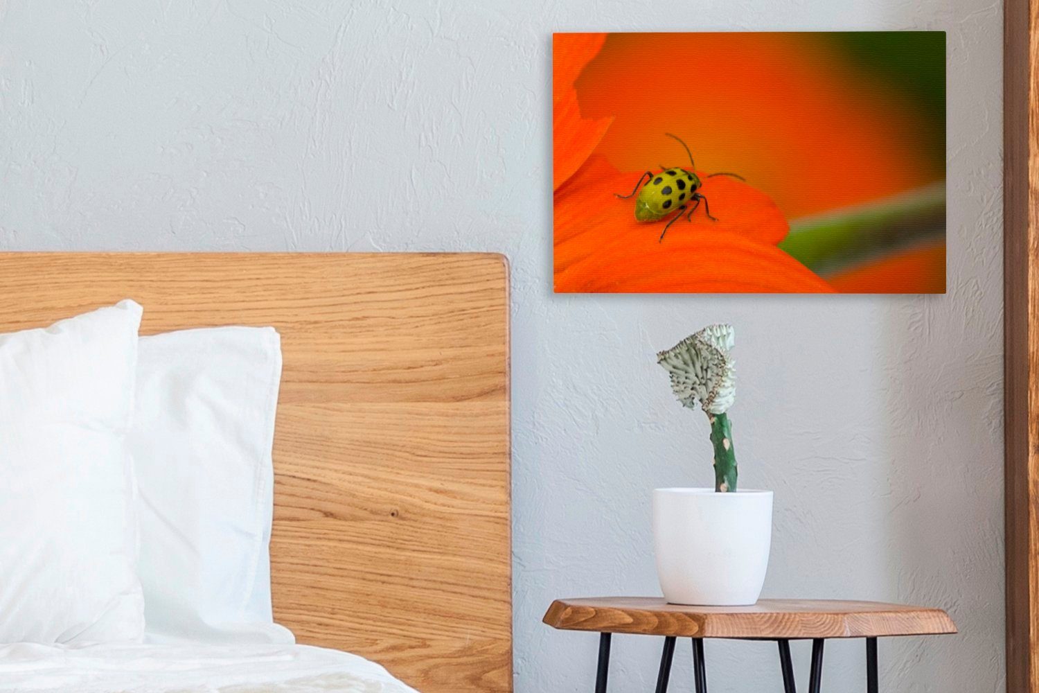 cm Leinwandbild Käfer St), (1 orangefarbener OneMillionCanvasses® Leinwandbilder, Gefleckter 30x20 Blüte, Wandbild auf Aufhängefertig, Wanddeko,