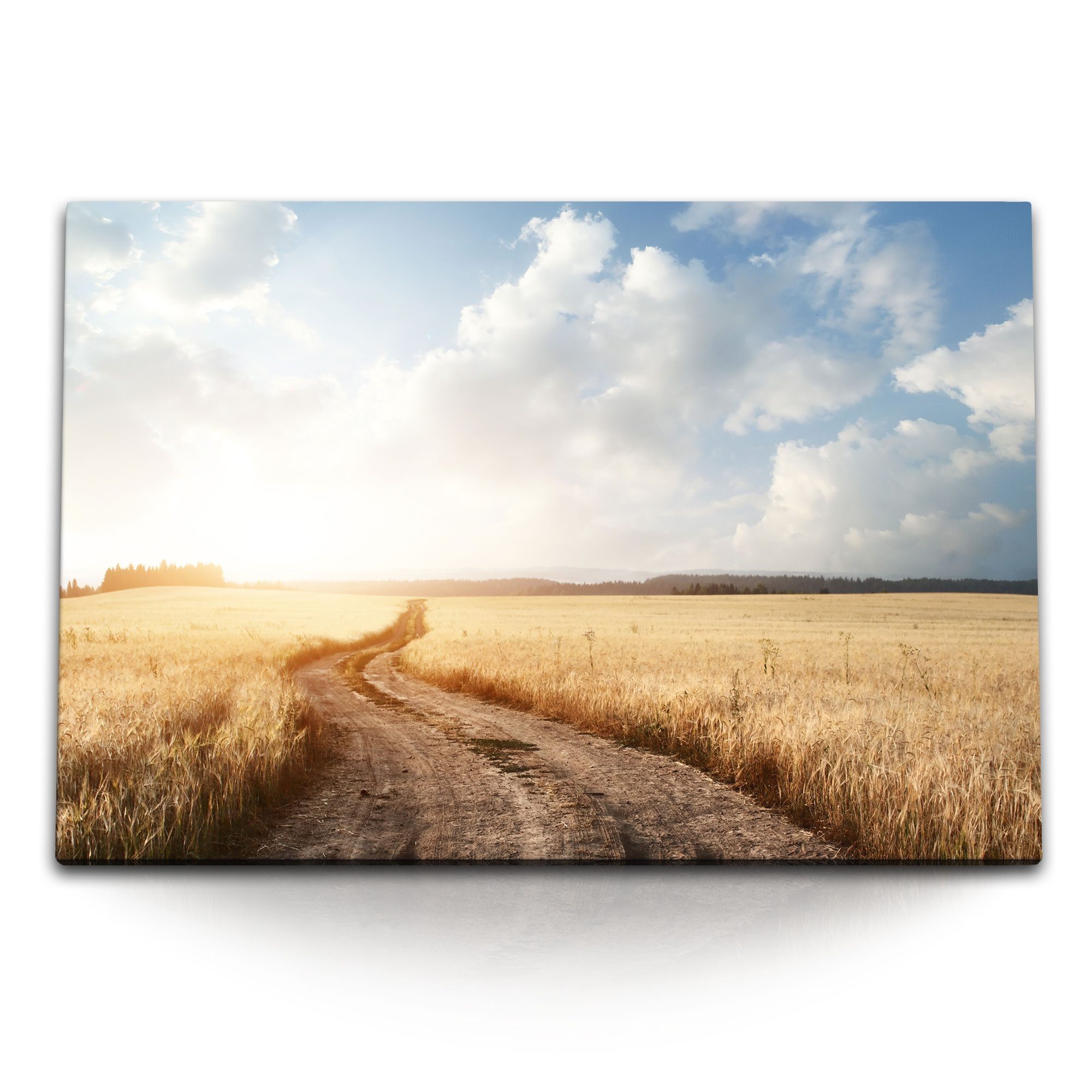 Leinwandbild 120x80cm Wandbild auf Leinwand Weizenfeld Landschaft Natur Sonnenschei