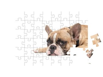puzzleYOU Puzzle Französische Bulldogge liegt entspannt, 48 Puzzleteile, puzzleYOU-Kollektionen Hunde, Buldogge