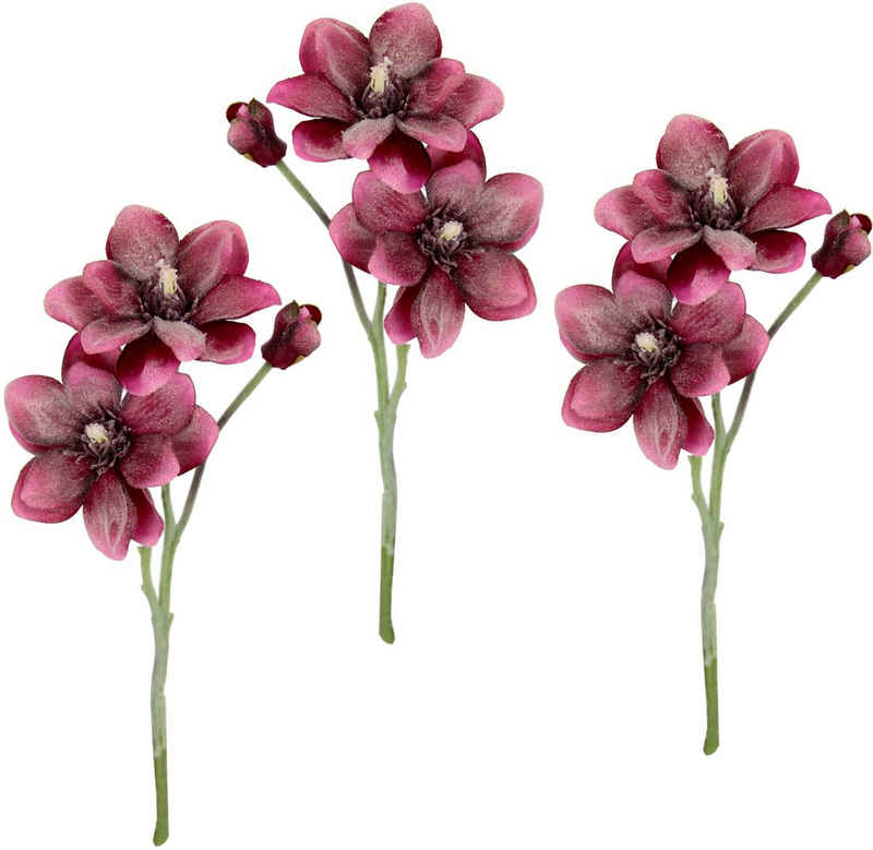 Kunstblume Magnolie, I.GE.A., Höhe 40 cm, Künstlicher Magnolienzweig, 3er Set