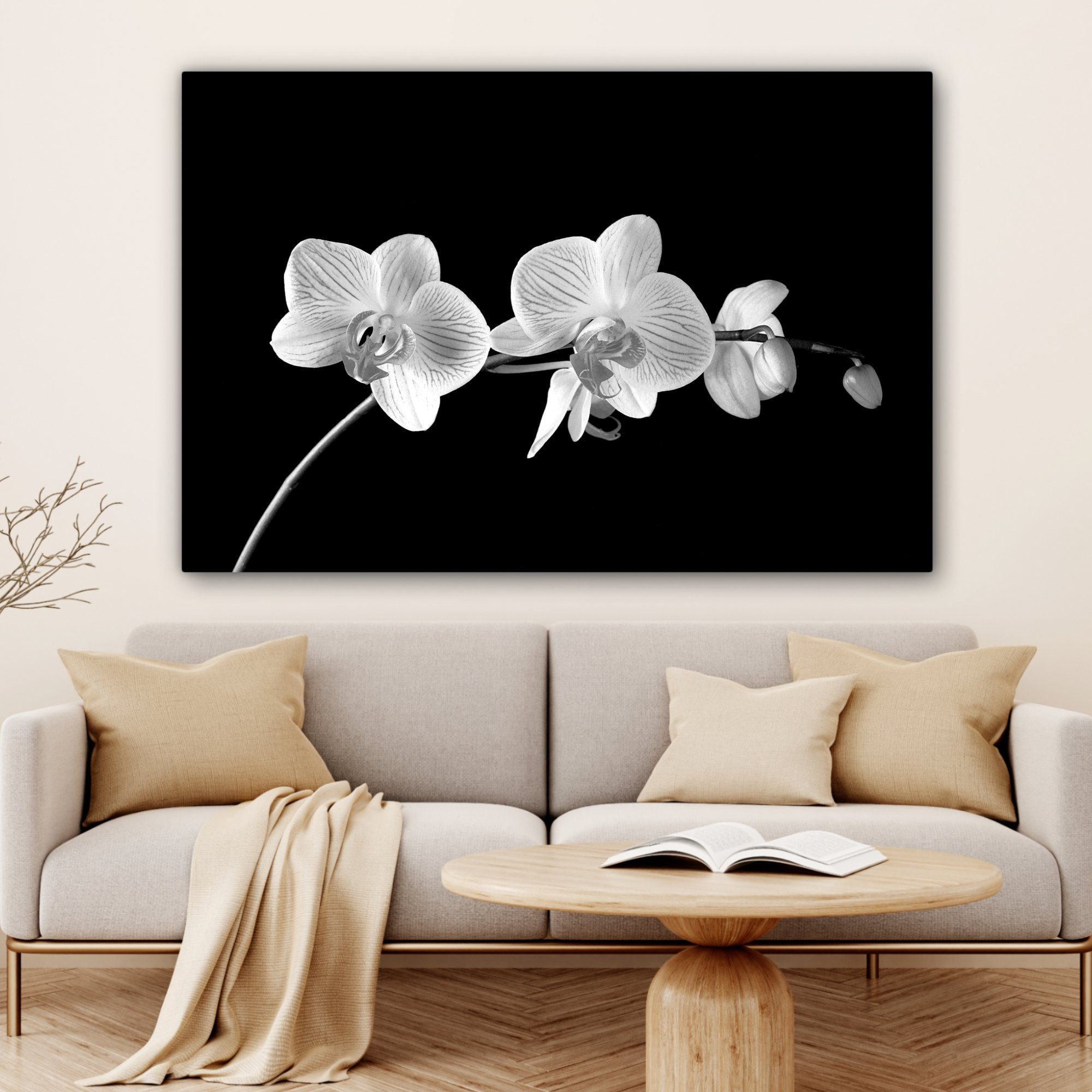Blumen - St), bunt alle 120x80 (1 Orchidee Leinwandbild für XXL, cm großes, Wandbild Rosa OneMillionCanvasses® - Knöpfe, Wohnbereiche, Schwarz - Gemälde, -