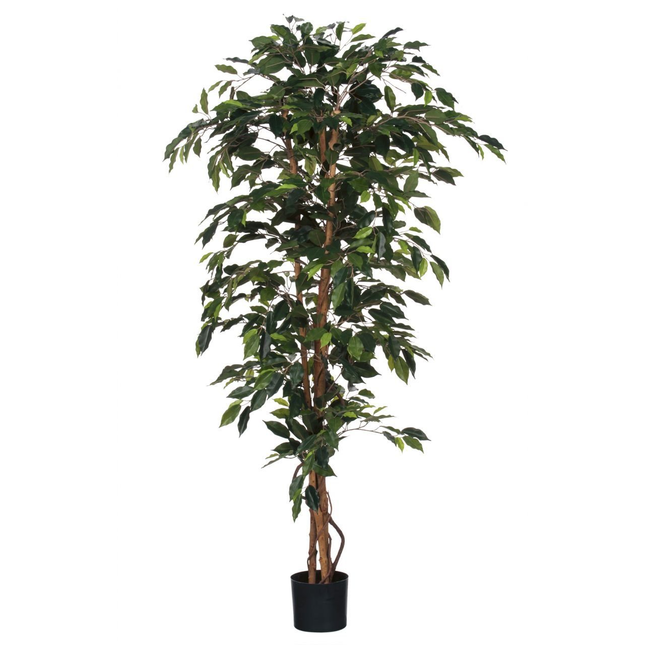 Kunstpflanze Mica 180 Topf cm, x im Mica 100 Ficus grün Kunstpflanze Decorations