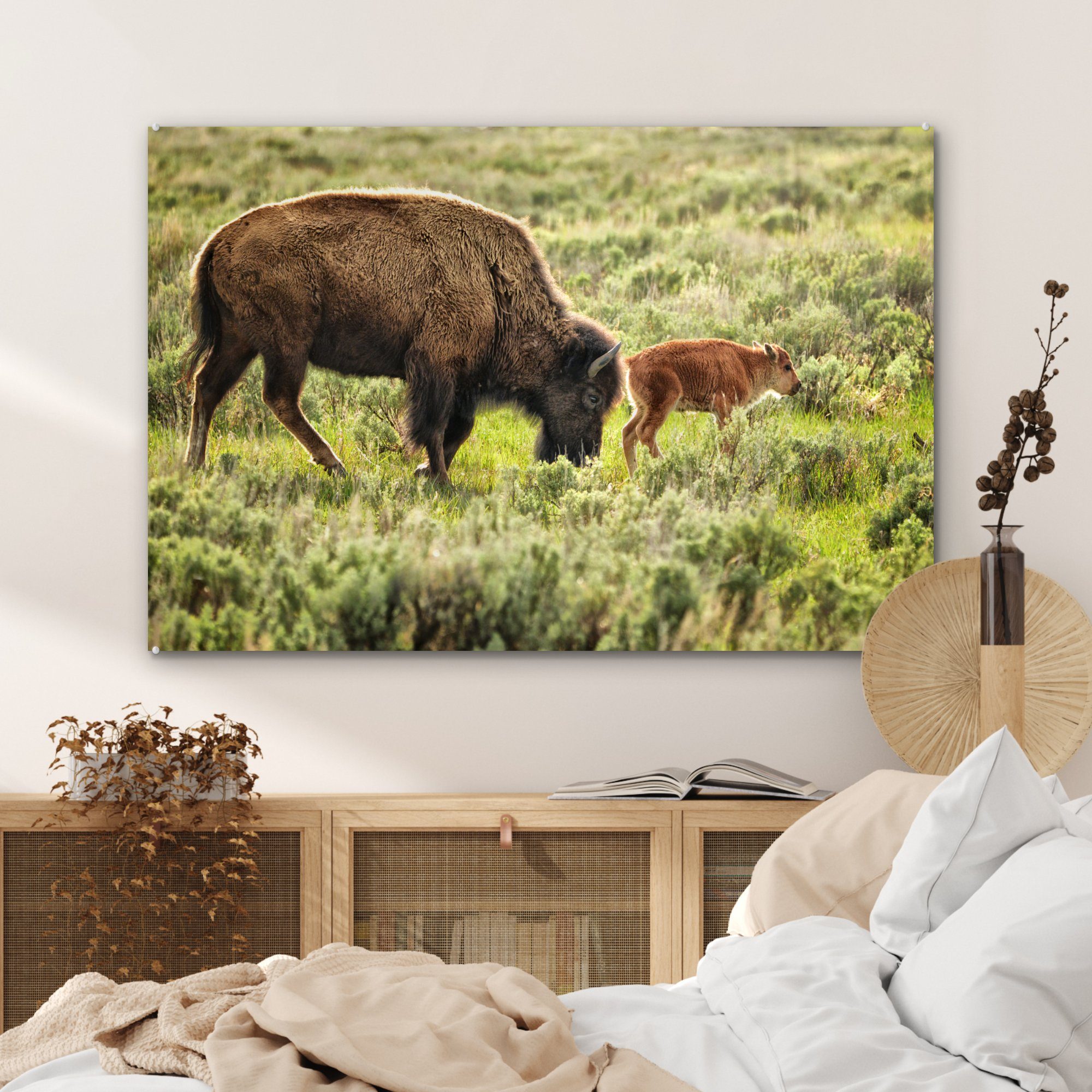 Bison Schlafzimmer in St), Baby Acrylglasbilder (1 Acrylglasbild mit MuchoWow Wohnzimmer & Wyoming,