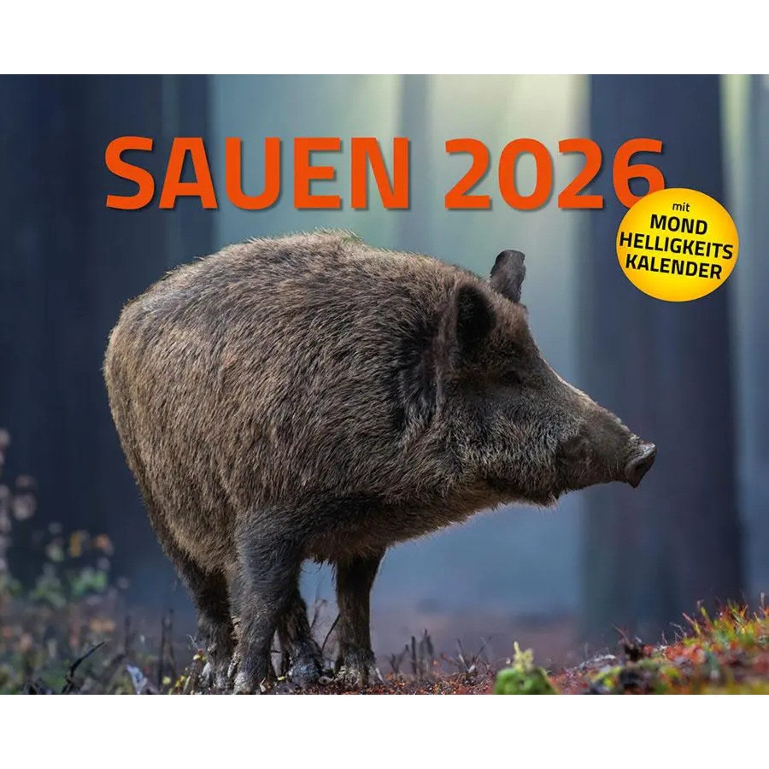 HEEL Verlag Wandkalender Sauen Kalender 2026 Jagd-Kalender im XXL-Format
