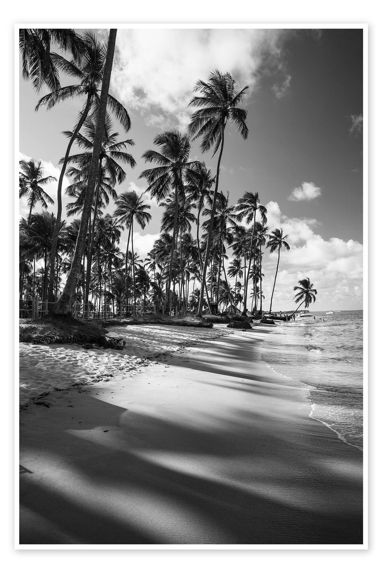 Posterlounge Wandbild Tropische Palmen an einem brasilianischen Strand, Alex Saberi, erhältlich als Poster, Leinwandbild, Wandsticker oder Acrylglasbild