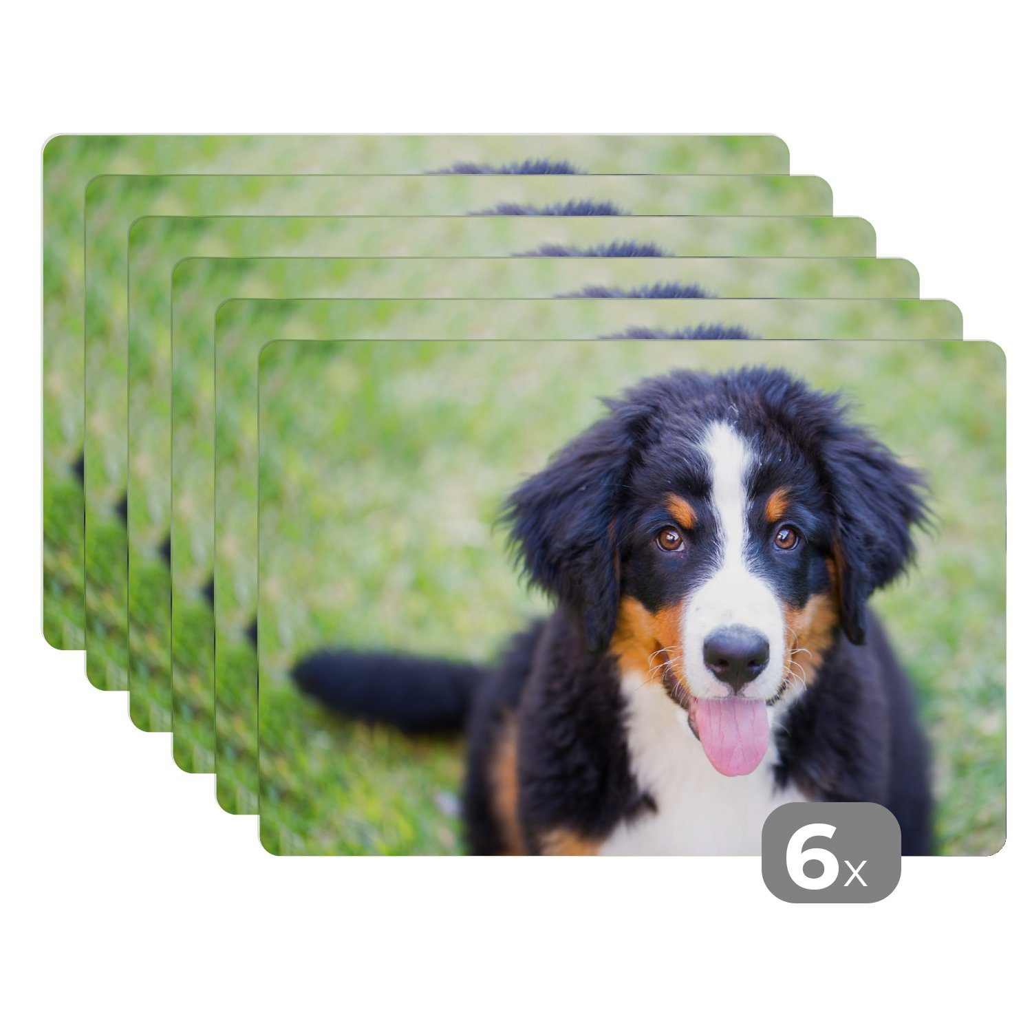 Platzset, Berner Sennenhund auf der grünen Wiese, MuchoWow, (6-St), Platzset, Platzdecken, Platzmatte, Tischmatten, Schmutzabweisend