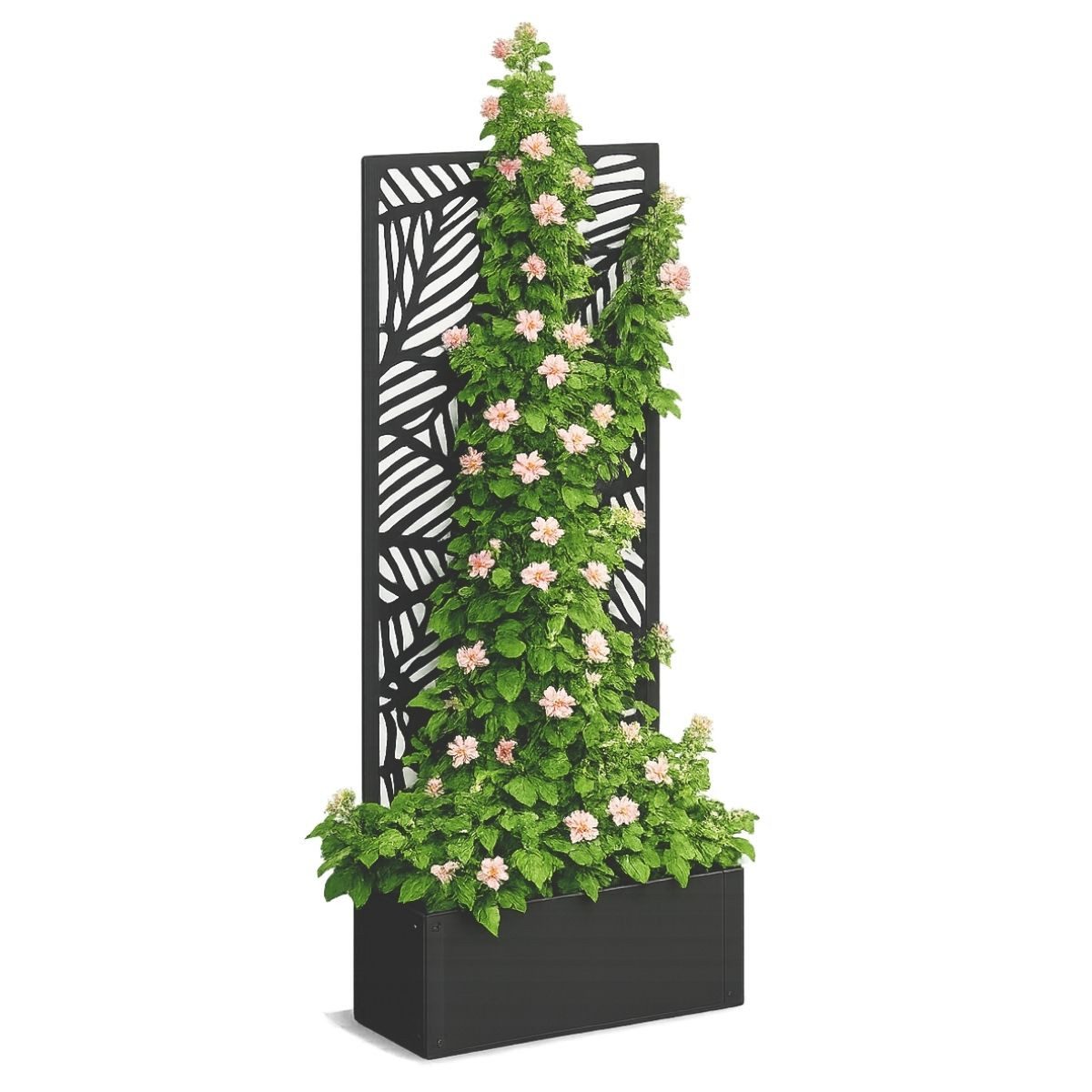 Mica Decorations Blumenständer Sapri Pflanzenstütze Schwarz 57,5x21x118cm