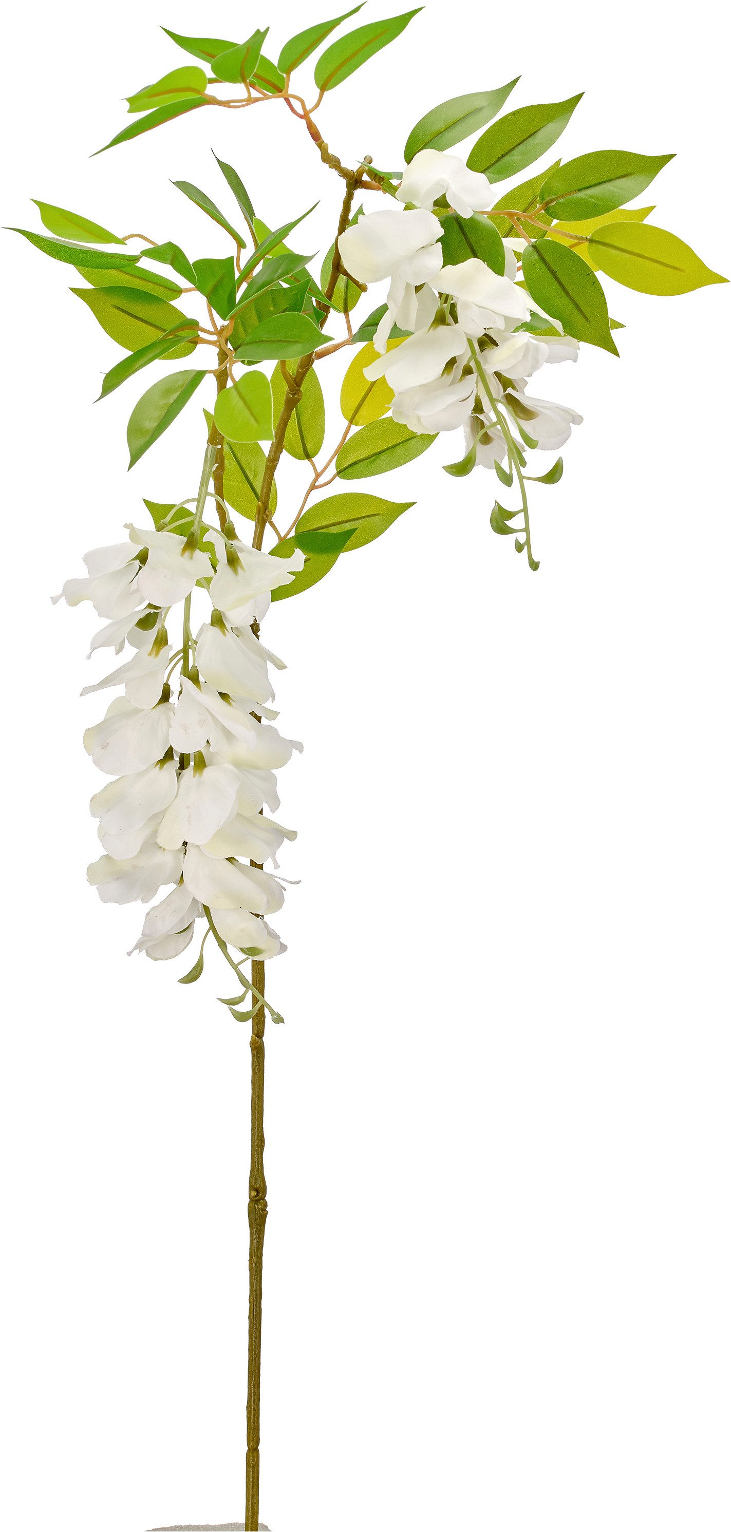 Kunstzweig Wisteriazweig, Creativ green, Höhe 90 cm, mit traumhaft schönen Blüten – Bild 2 von 3