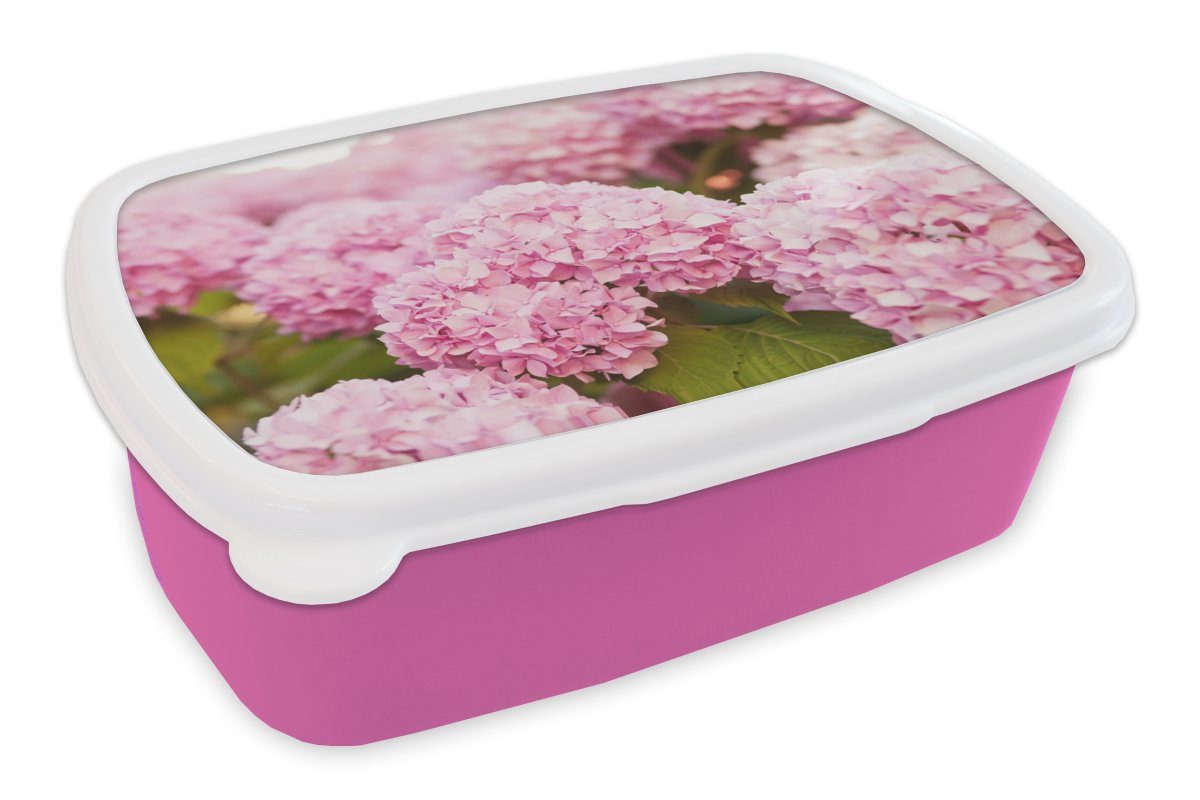 MuchoWow Lunchbox Busch - Blumen - Rosa - Hortensie, Kunststoff, (2-tlg), Brotbox für Erwachsene, Brotdose Kinder, Snackbox, Mädchen, Kunststoff