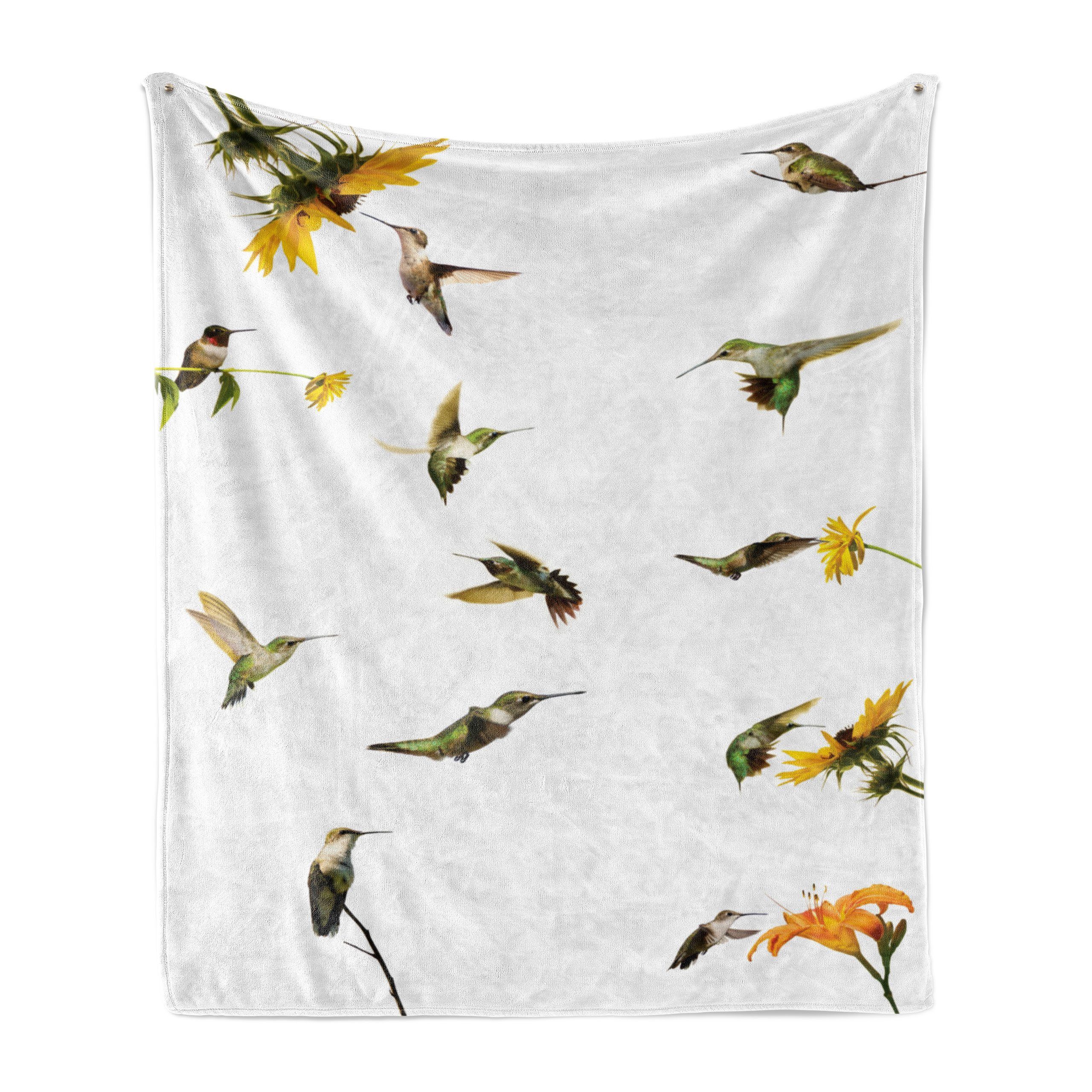 Wohndecke Gemütlicher Plüsch für den Innen- und Außenbereich, Abakuhaus, Kolibri Hummingbird Sunflowers