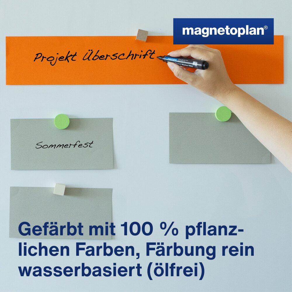HOLT Anzeigetafel Überschriftenstreifen 100St 545x95mm (1-St)
