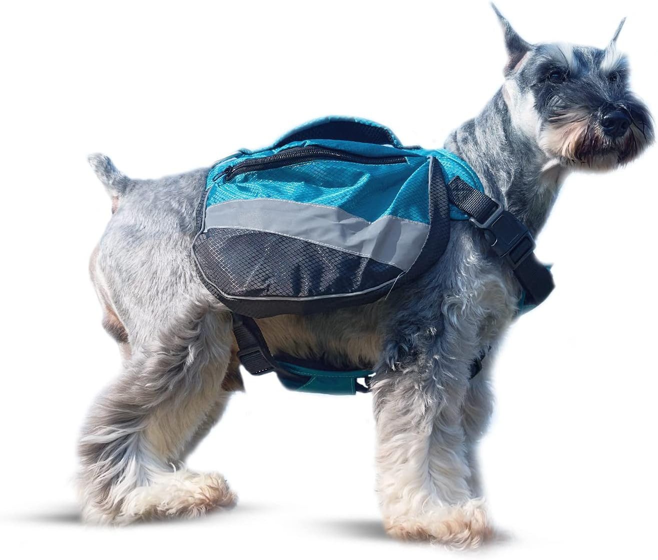 olife Hunde-Geschirr Pawtour Hunderucksack Einheitsgröße, wasserabweisende günstig online kaufen