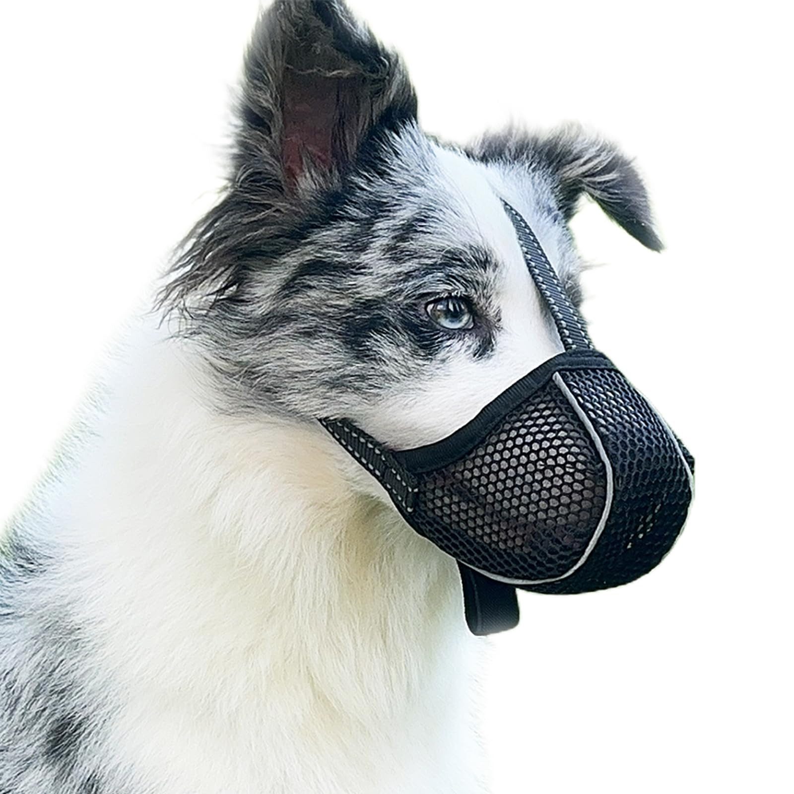 Beaface Maulkorb Verstellbarer Maulkorb für Hunde – Atmungsaktiv, Reflektierend, Verhindert Fressen, Kauen und Beißen