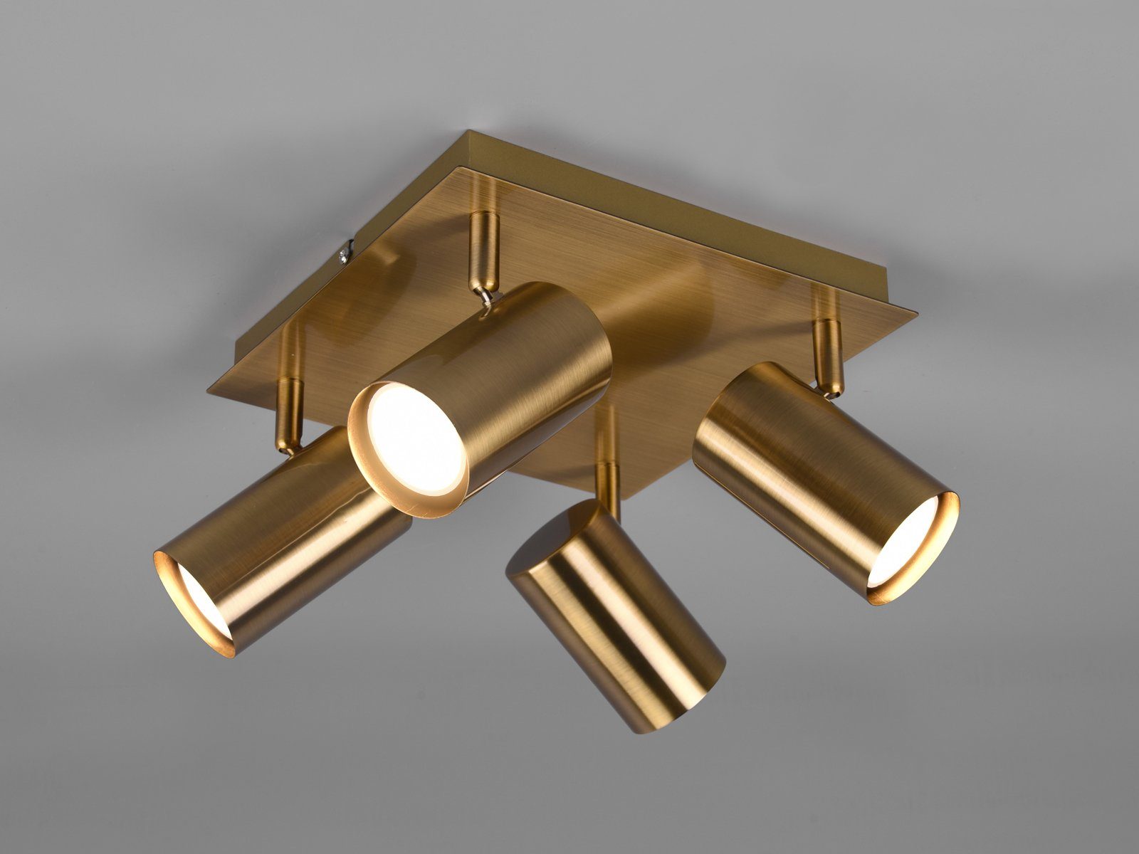 TRIO Leuchten LED Deckenstrahler, Dimmfunktion, LED wechselbar, Warmweiß, k günstig online kaufen