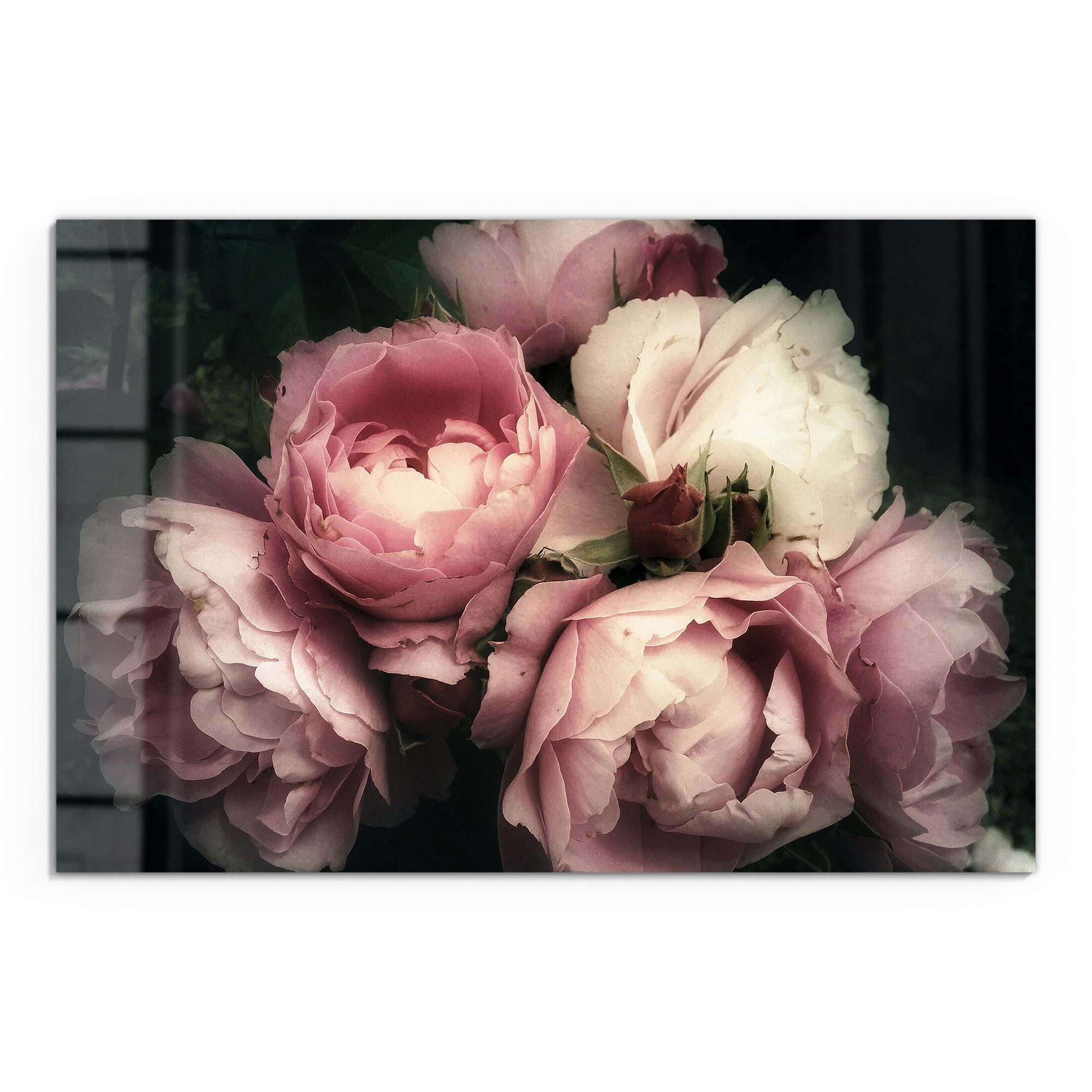 DEQORI Glasbild 'Nostalgische Blüte', 'Nostalgische Blüte', günstig online kaufen