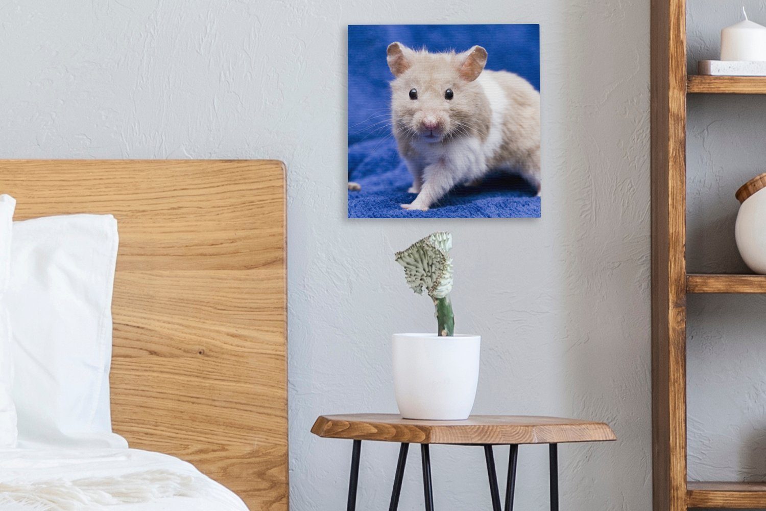 Schlafzimmer (1 für Wohnzimmer St), Leinwand Bilder Leinwandbild Syrischer Hamster, OneMillionCanvasses®