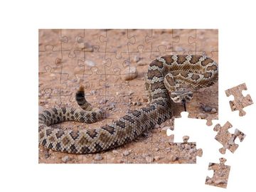 puzzleYOU Puzzle Gefährliche Klapperschlange, zum Angriff bereit, 48 Puzzleteile, puzzleYOU-Kollektionen Schlangen, Tiere in Dschungel & Regenwald