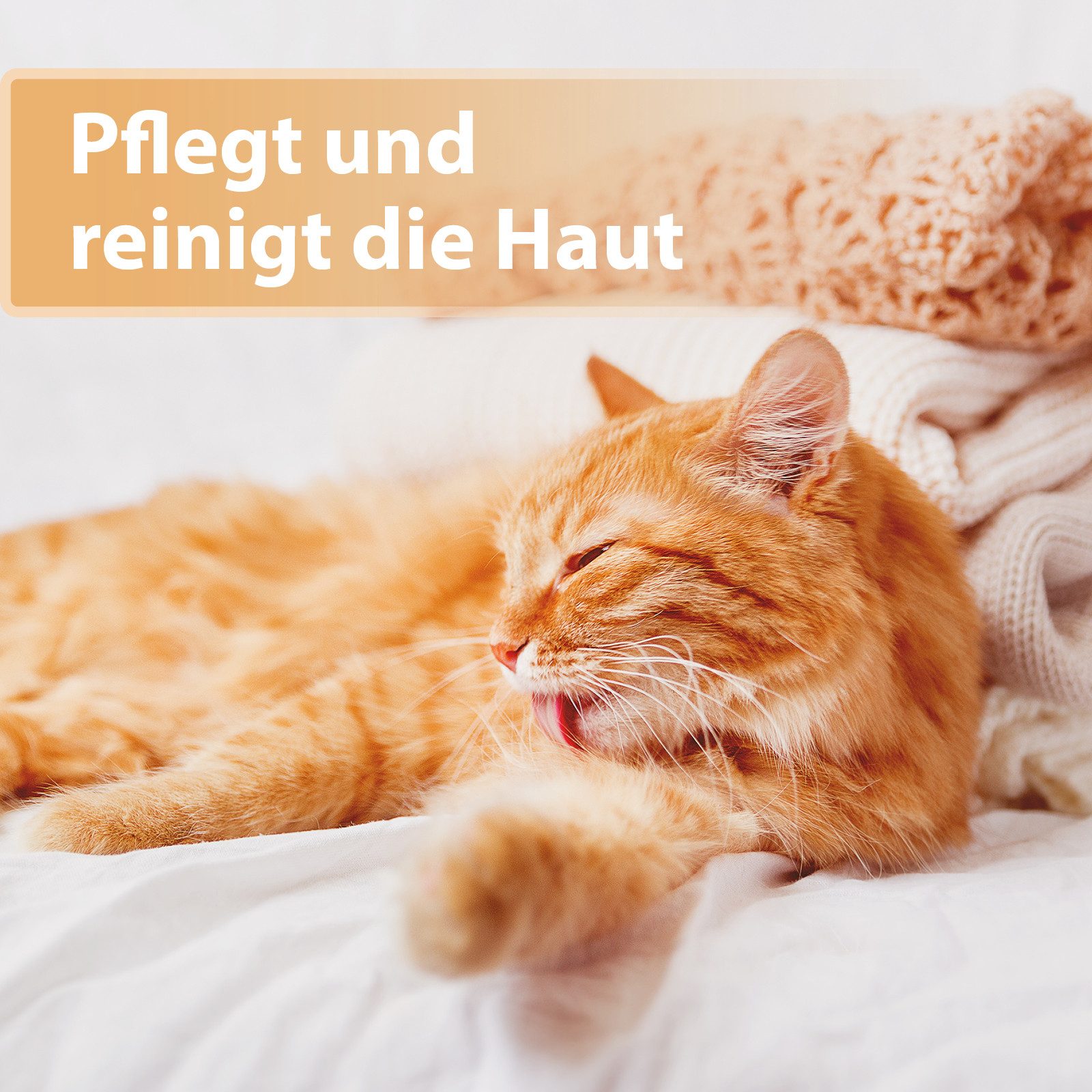 Felisept Fellpflege Felisept Wundspray für Katzen 75ml