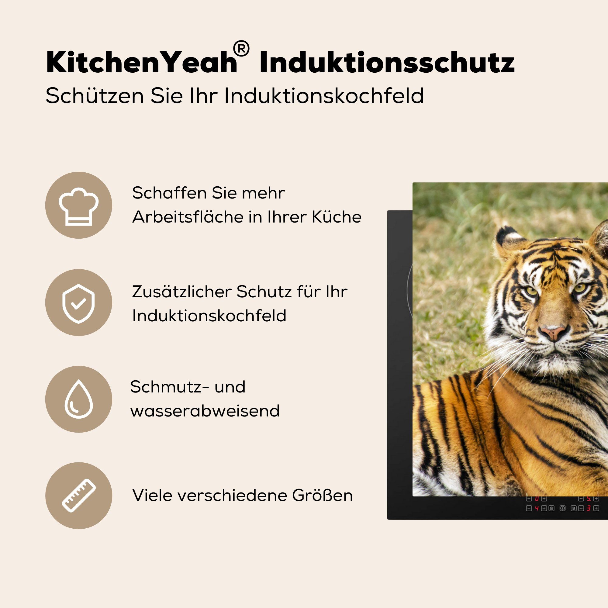 MuchoWow Herdblende-/Abdeckplatte Tiger - Ceranfeldabdeckung die - Gras, Induktionskochfeld küche, für tlg), 81x52 Jungtier cm, Schutz Vinyl, (1