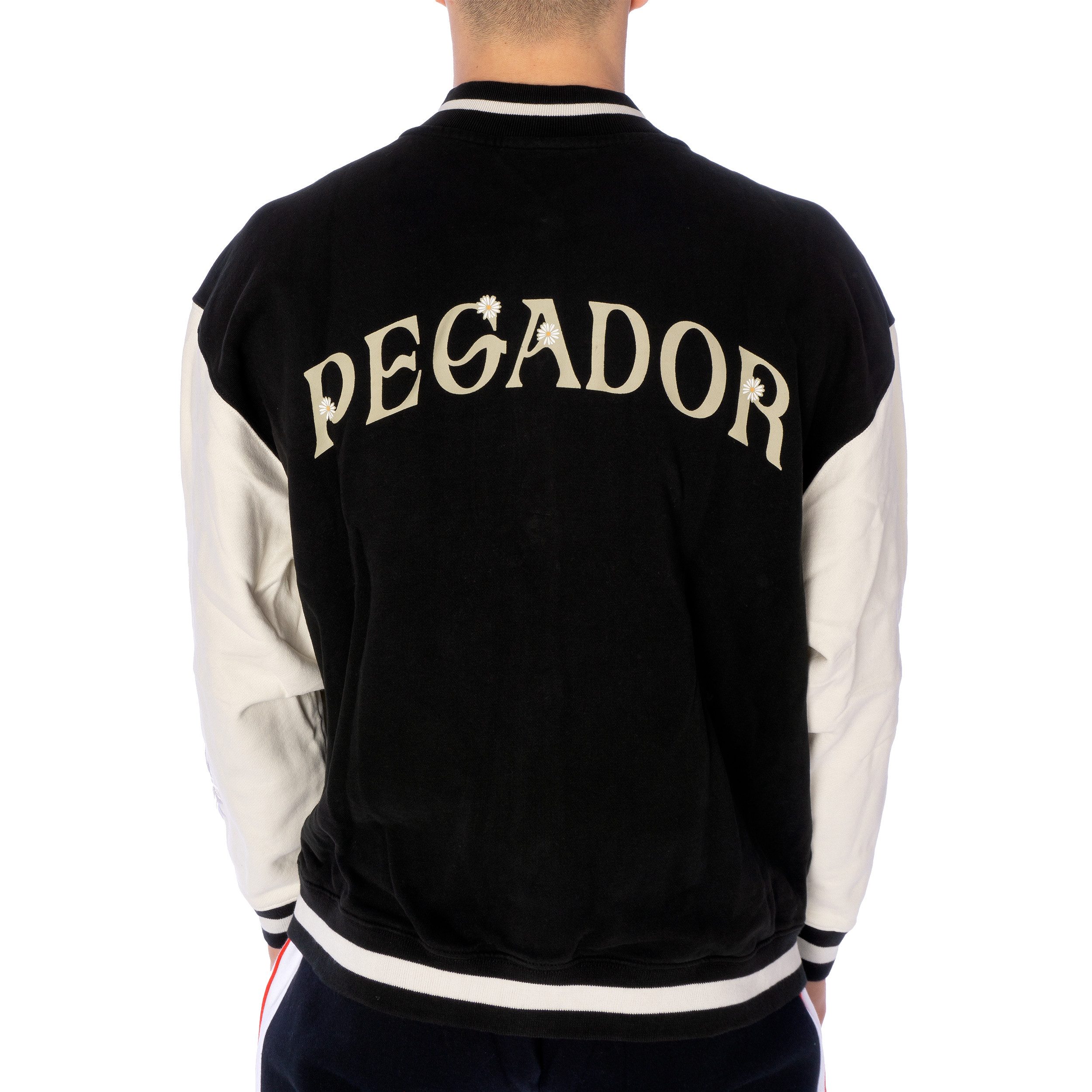 PEGADOR Collegejacke Jacke Pegador Sala Oversized Varsity