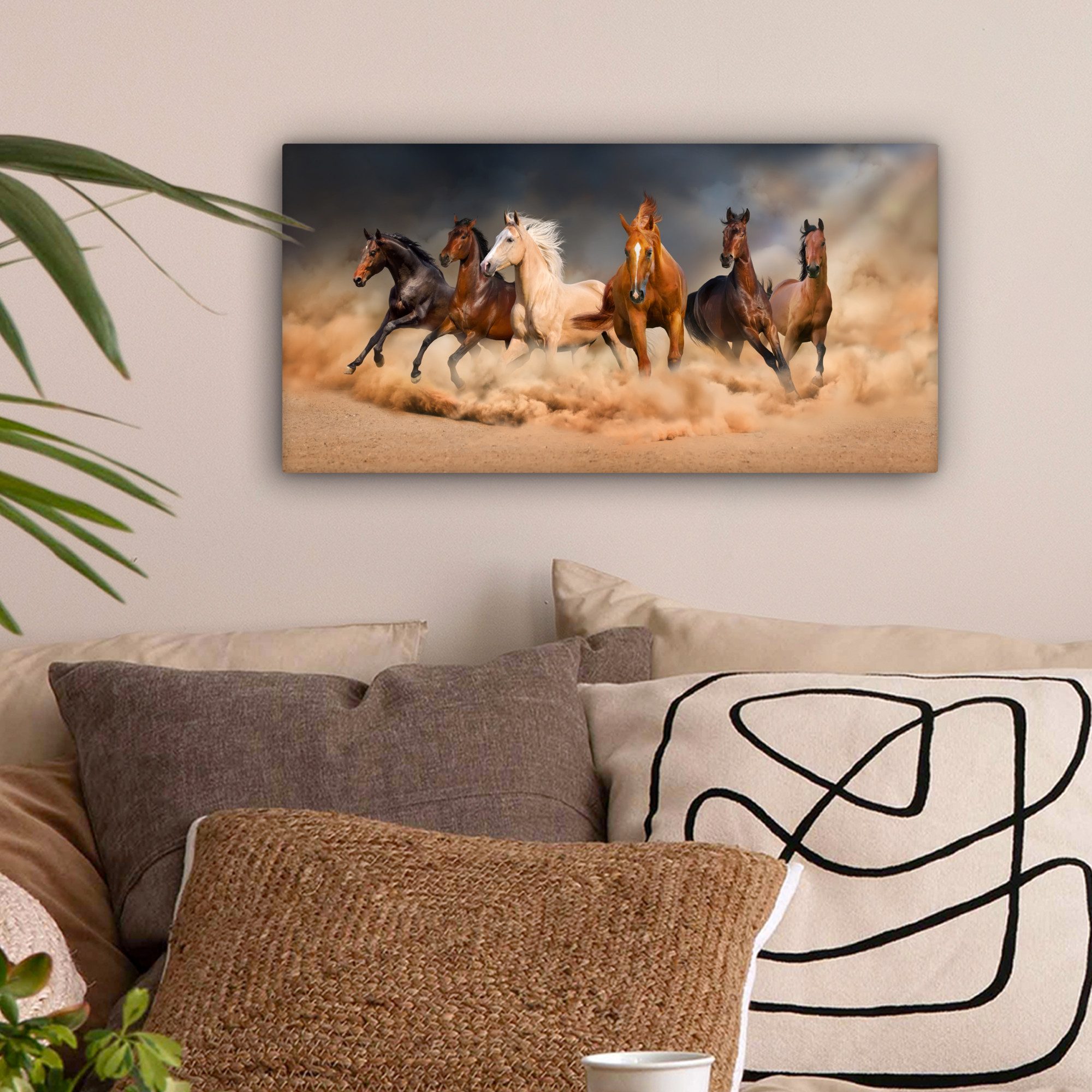 OneMillionCanvasses® Leinwandbild Panorama Pferde - Tiere - Sand - Stoff, F günstig online kaufen