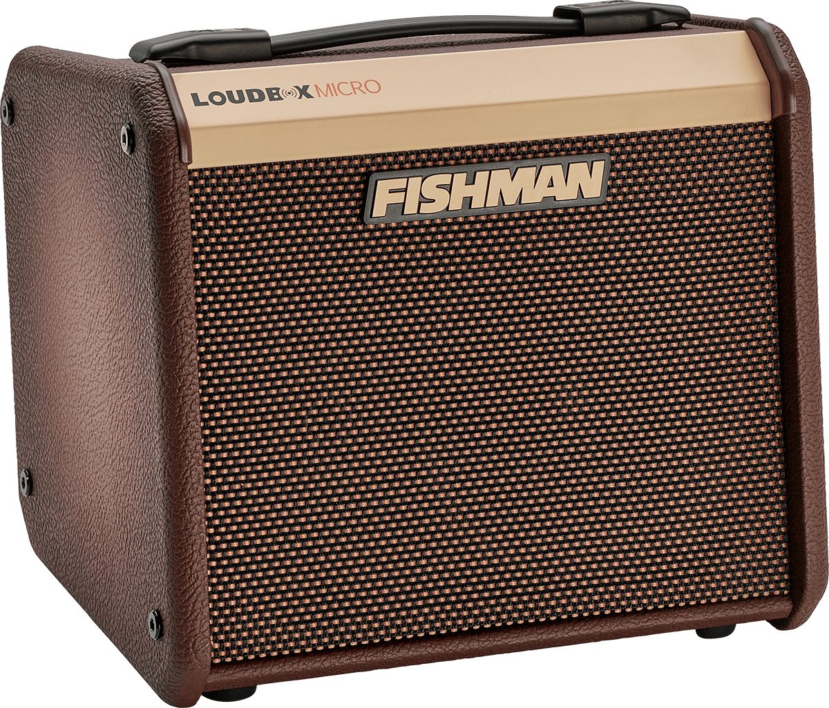 Fishman E-Gitarre Fishman Loudbox Micro