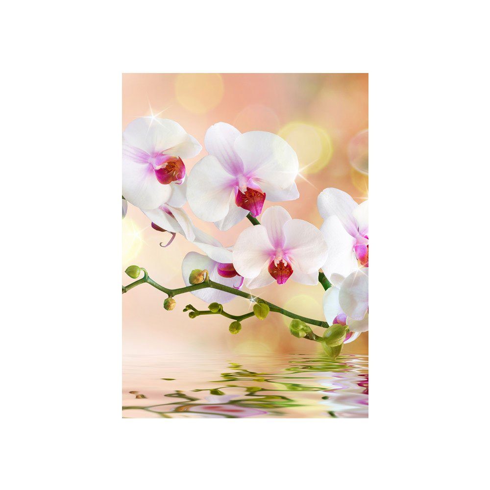 Pflanzen liwwing no. liwwing 200, Berge Natur Pink Orchidee Blumen Abstrakt Fototapete Fototapete Weiß