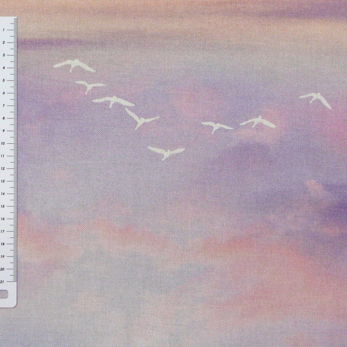 Thumbnail - Stoff Dekostoff Digitaldruck Sommer Festival Vögel Himmel pastell 1,40m, Digitaldruck