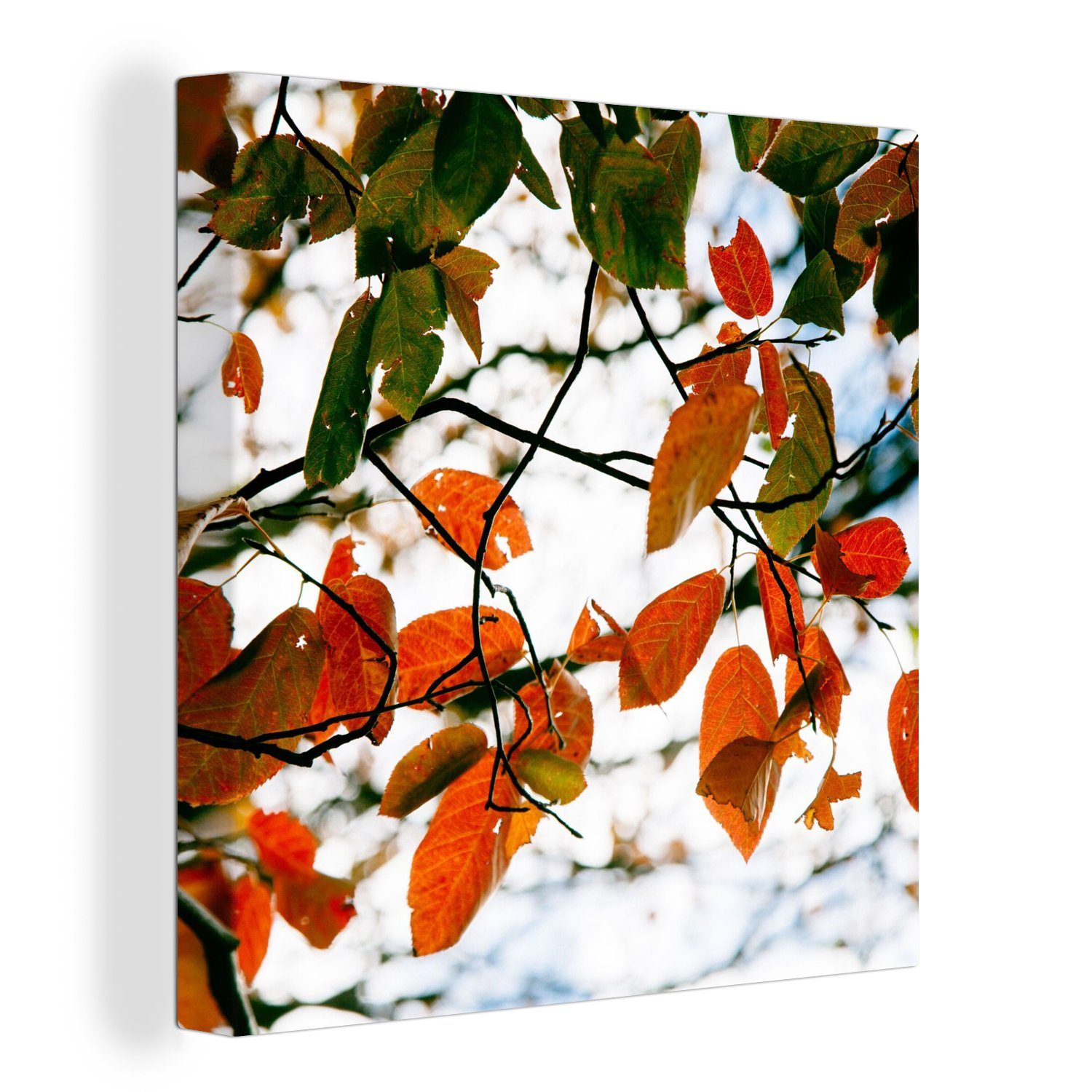 OneMillionCanvasses® Leinwandbild Herbst - Blätter - Landleben -  Jahreszeiten, (1 St), Leinwand Bilder für Wohnzimmer Schlafzimmer