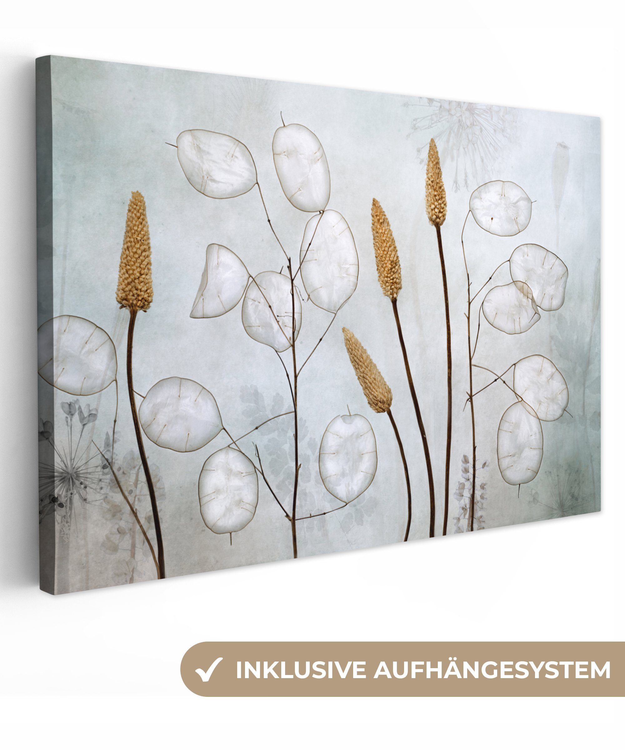 OneMillionCanvasses® Leinwandbild Stilleben - Trockenblumen - Natur, Fotodr günstig online kaufen