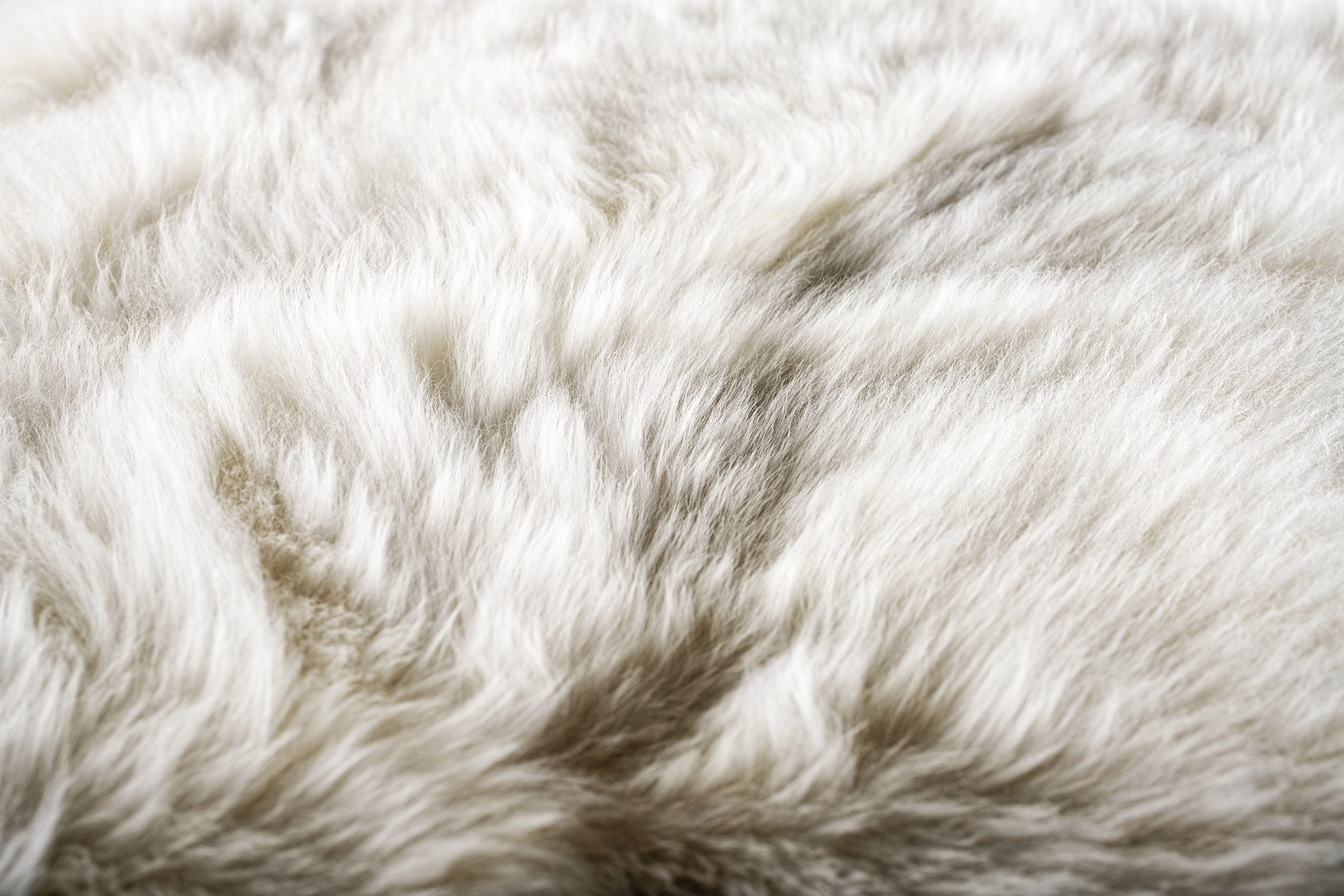 Gerberei Trautwein Manufaktur Fellteppich Weicher & hochwolliger Tierteppic günstig online kaufen