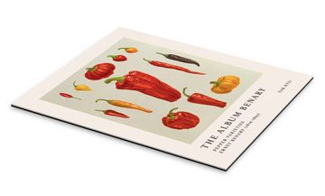 Posterlounge XXL-Wandbild Ernst Benary, The Album Benary - Pepper Varieties, Küche Vintage Illustration