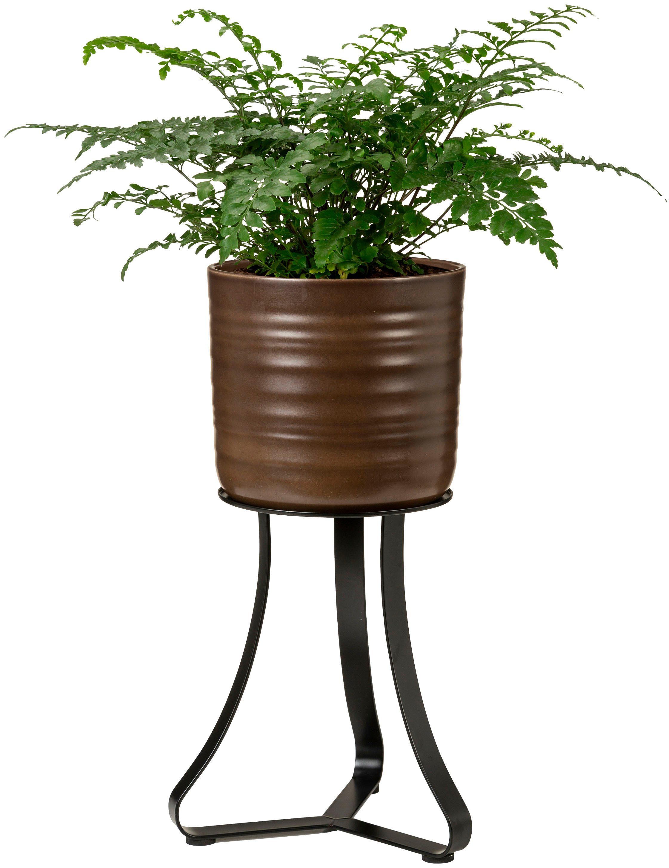 Scheurich Blumenständer satin black 27/105 günstig online kaufen