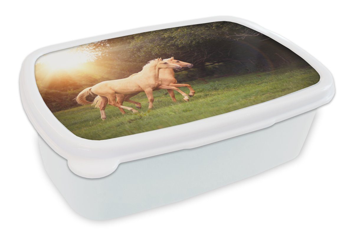MuchoWow Lunchbox Pferde - Wald - Sonne, Kunststoff, (2-tlg), Brotbox für Kinder und Erwachsene, Brotdose, für Jungs und Mädchen weiß