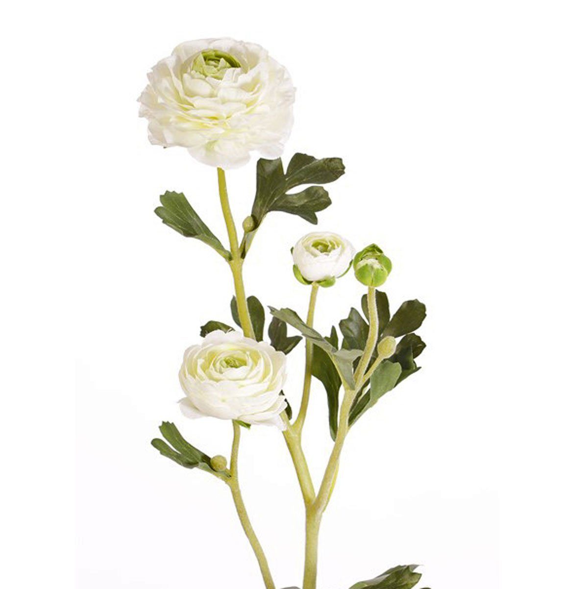 Kunstblume Ranunkel Weiß 65 cm, MARYLEA