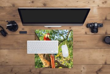 MuchoWow Gaming Mauspad Ara sitzt auf einem Baum (1-St), Mousepad mit Rutschfester Unterseite, Gaming, 40x40 cm, XXL, Großes