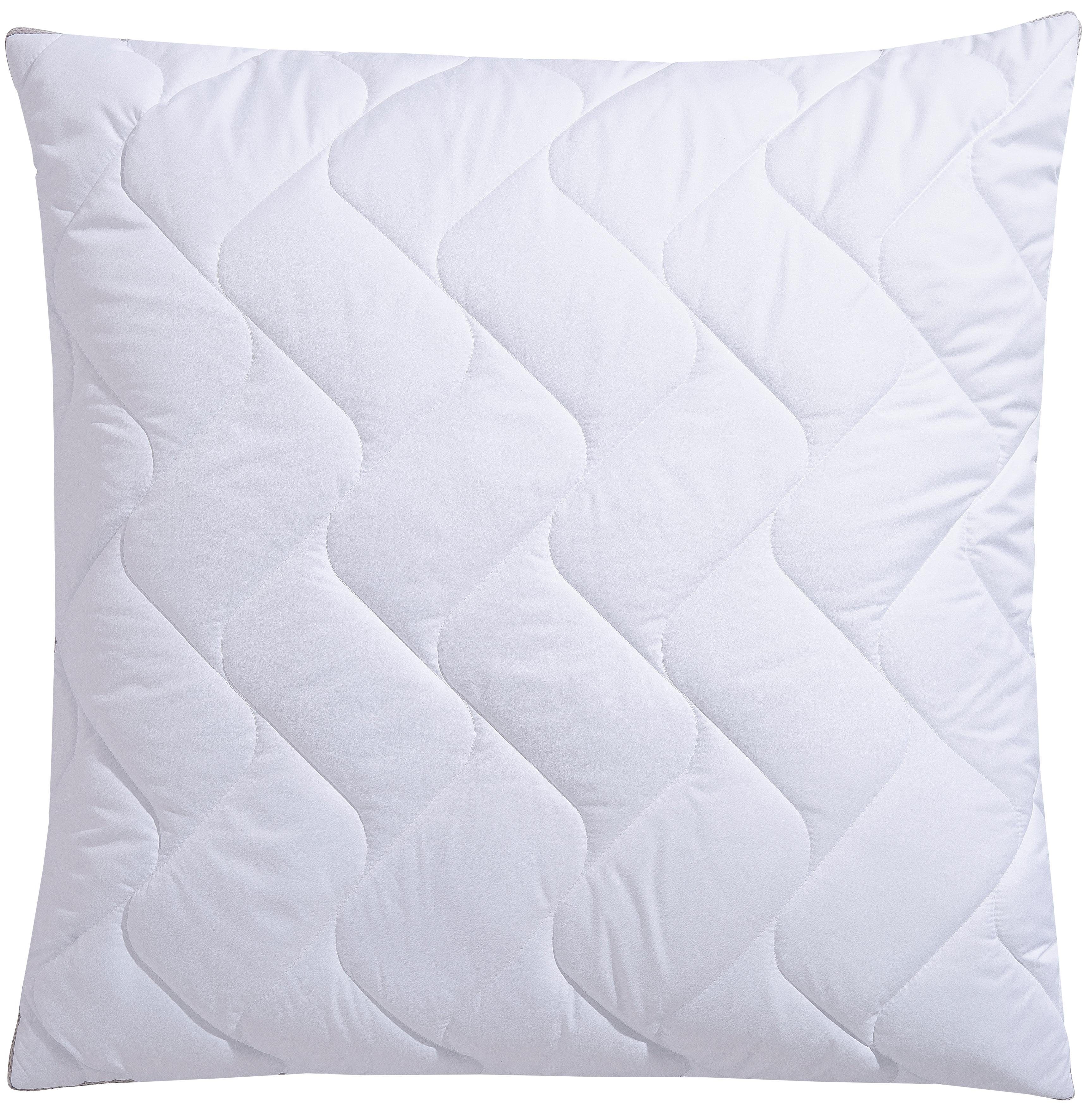 fan Microfaserkissen Climacontrol® II m. Baumwollbezug, Bezug: 100% Baumwol günstig online kaufen