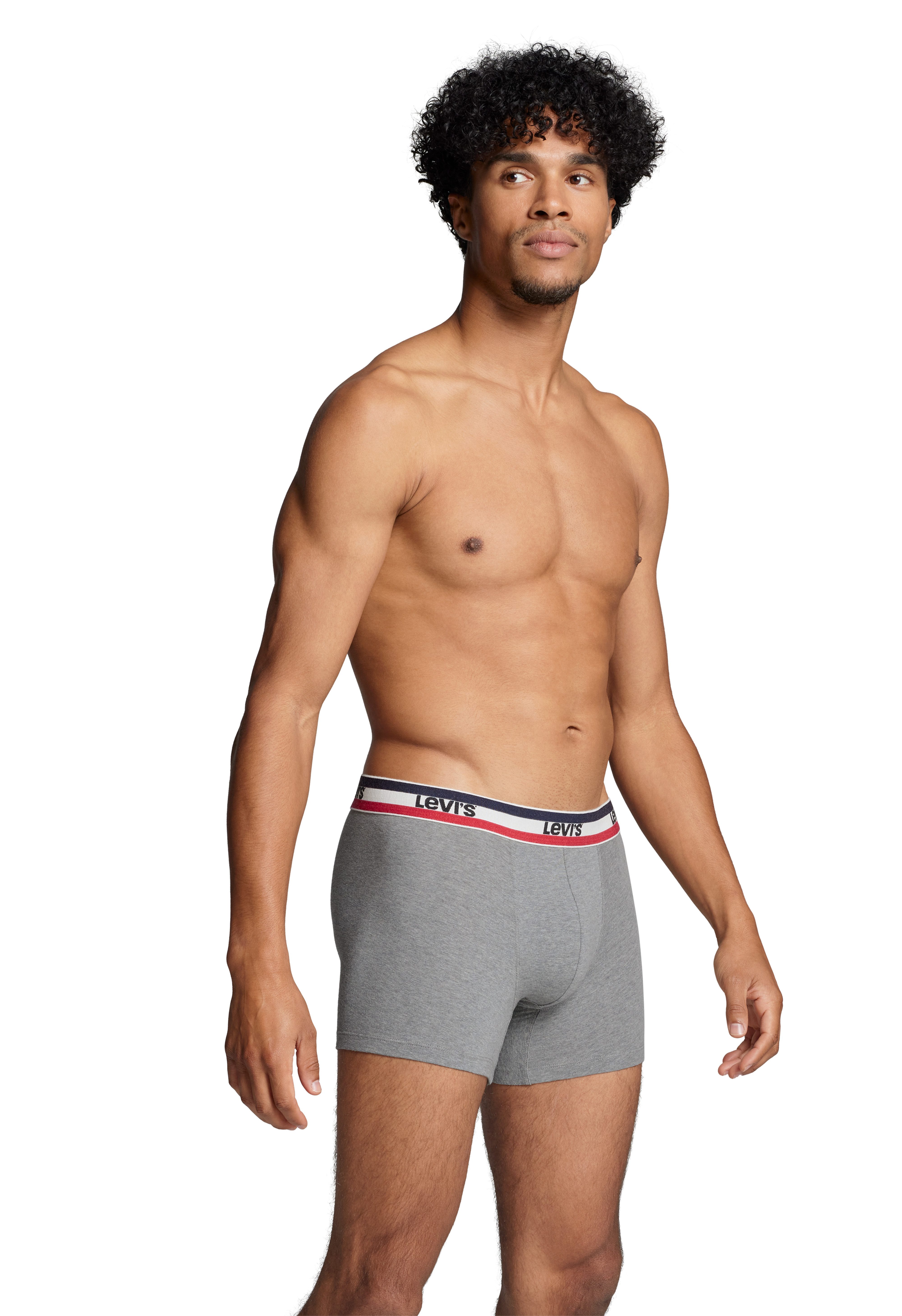 Levi's® Boxershorts LEVIS MEN SPW LOGO BOXER BRIEF ORG 2P (Packung, 2er Pack) mit breitem Logobund