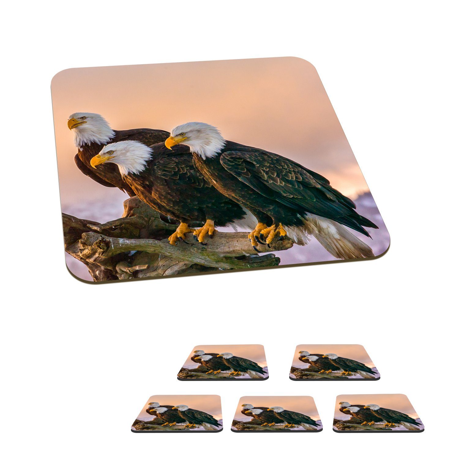 MuchoWow Glasuntersetzer Vögel - Natur - Raubvögel - Adler, Zubehör für Gläser, 6-tlg., Glasuntersetzer, Tischuntersetzer, Korkuntersetzer, Untersetzer, Tasse