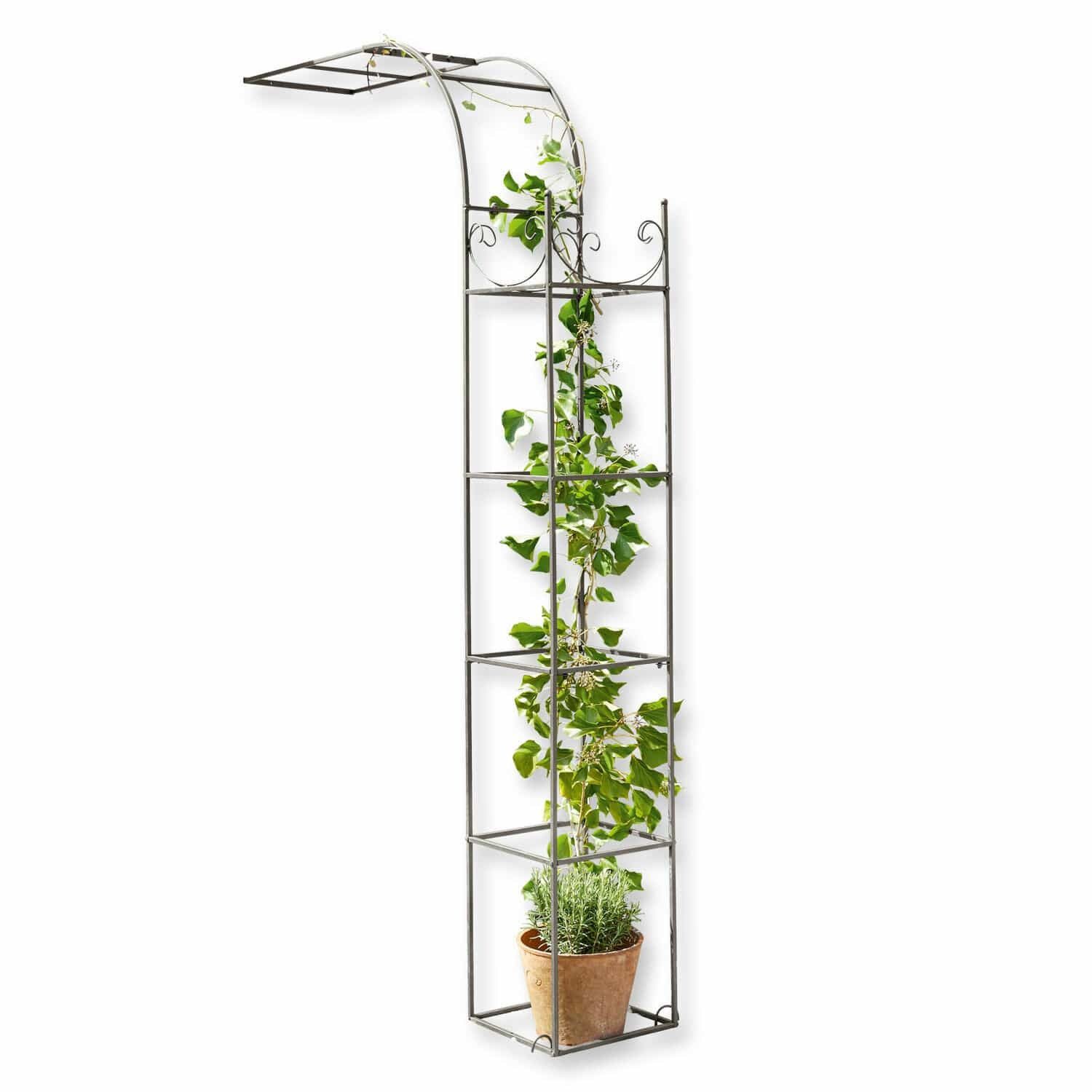 Mirabeau Rankhilfe Rosenbogen Fiore rostbraun günstig online kaufen
