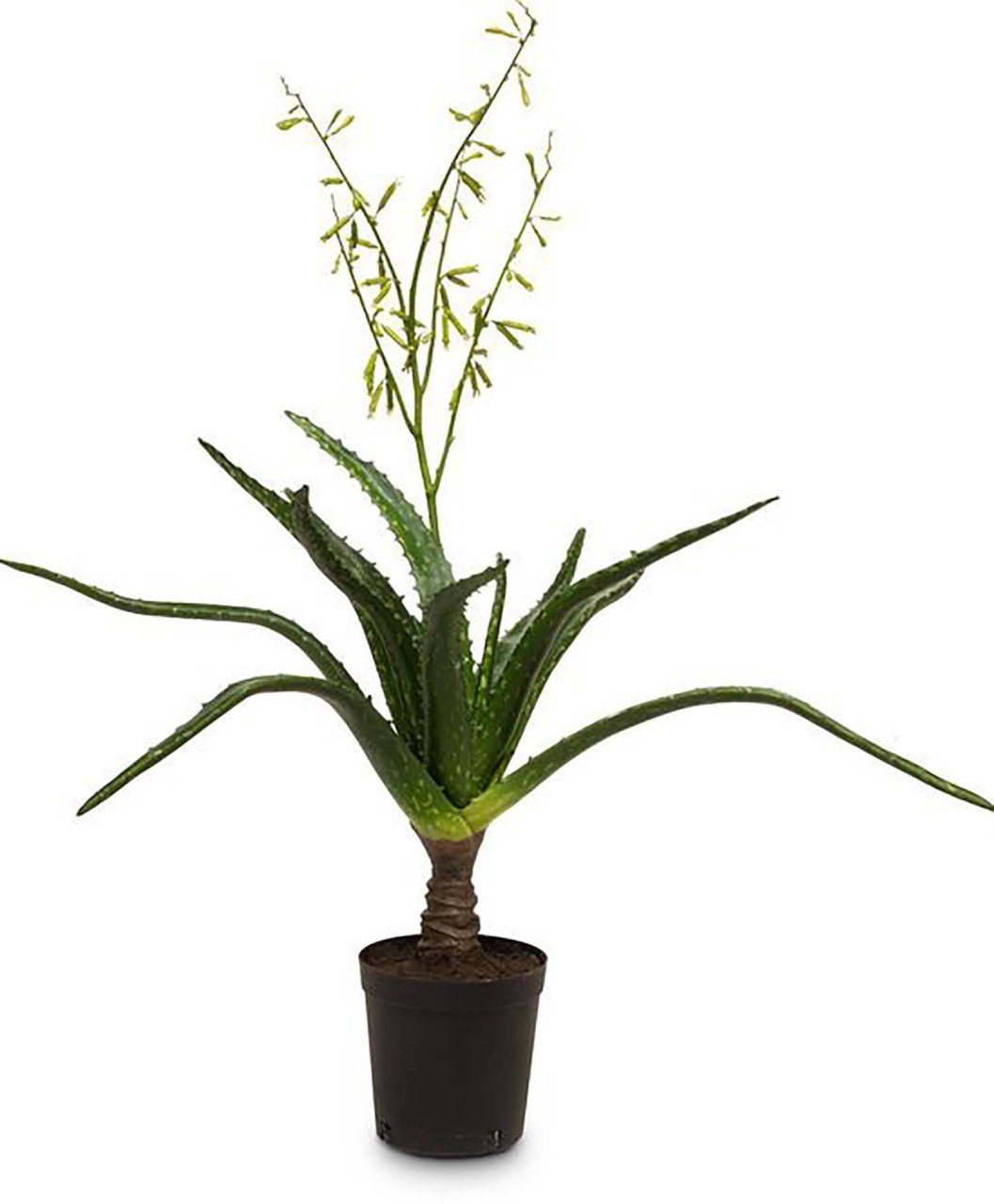 Kunstblume Kunstpflanze Flowering Aloe, fleur ami
