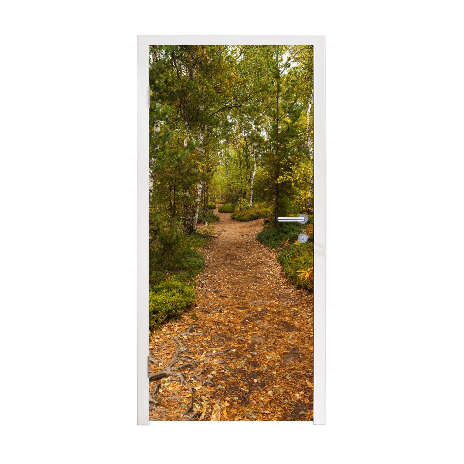 MuchoWow Türtapete Wald - Weg - Herbst - Laub, Matt, bedruckt, (1 St), Fototapete für Tür, Türaufkleber, 75x205 cm