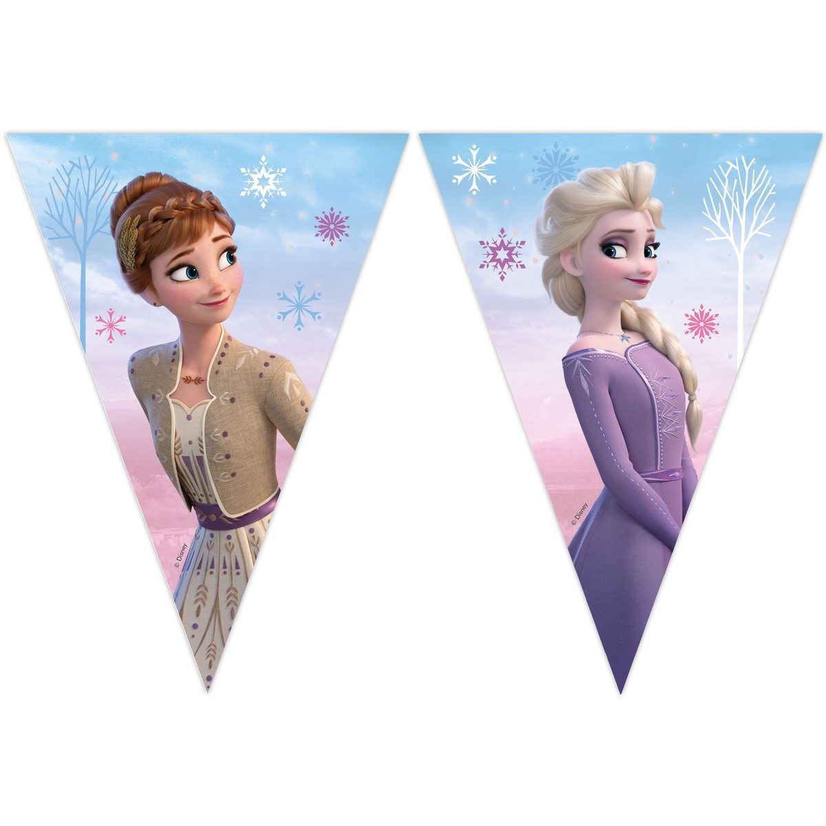 Procos Fahne Flaggenbanner Disney Frozen II 9 Wimpel