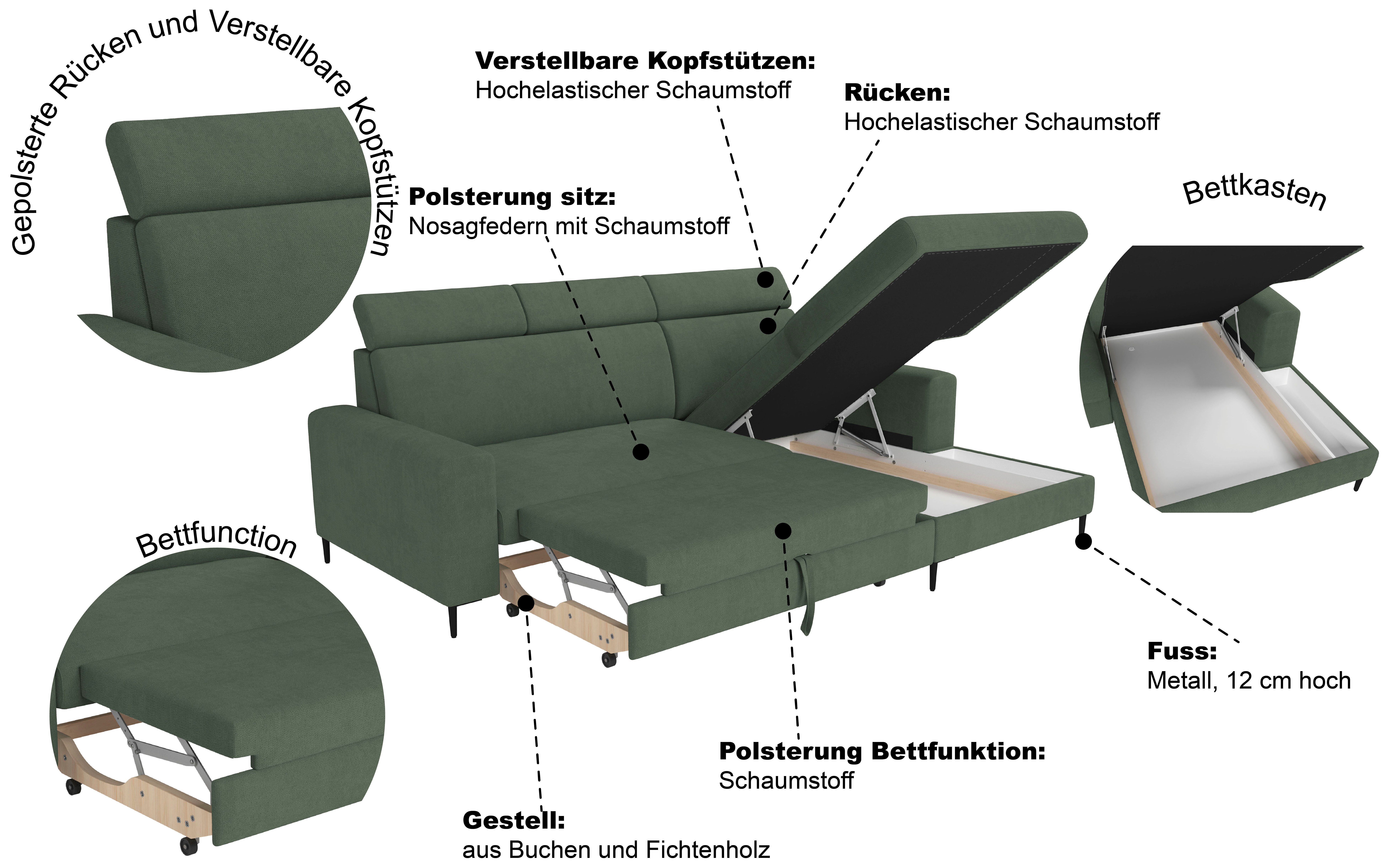 Trends by HG Ecksofa Nizza, L-Form, B: 250cm, mit Schlaffunktion und Bettkasten