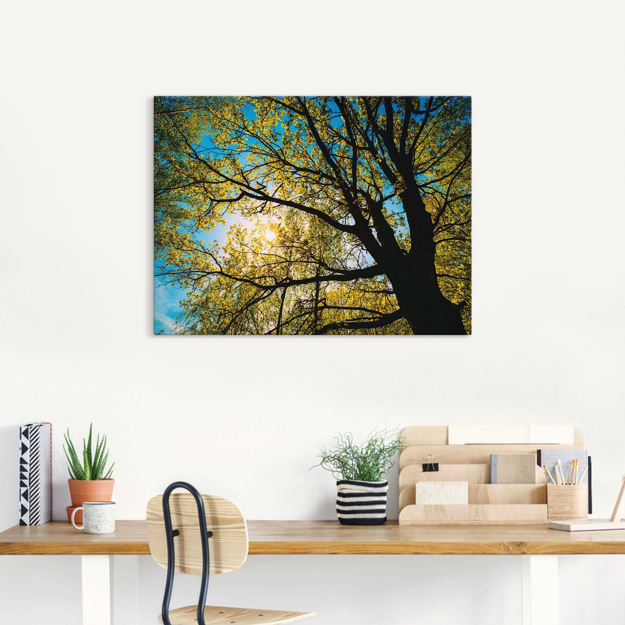 Alubild, Bäume in Wandaufkleber als Frühlingssonne oder Leinwandbild, Baumkrone, versch. St), (1 Poster durch Größen Artland Wandbild
